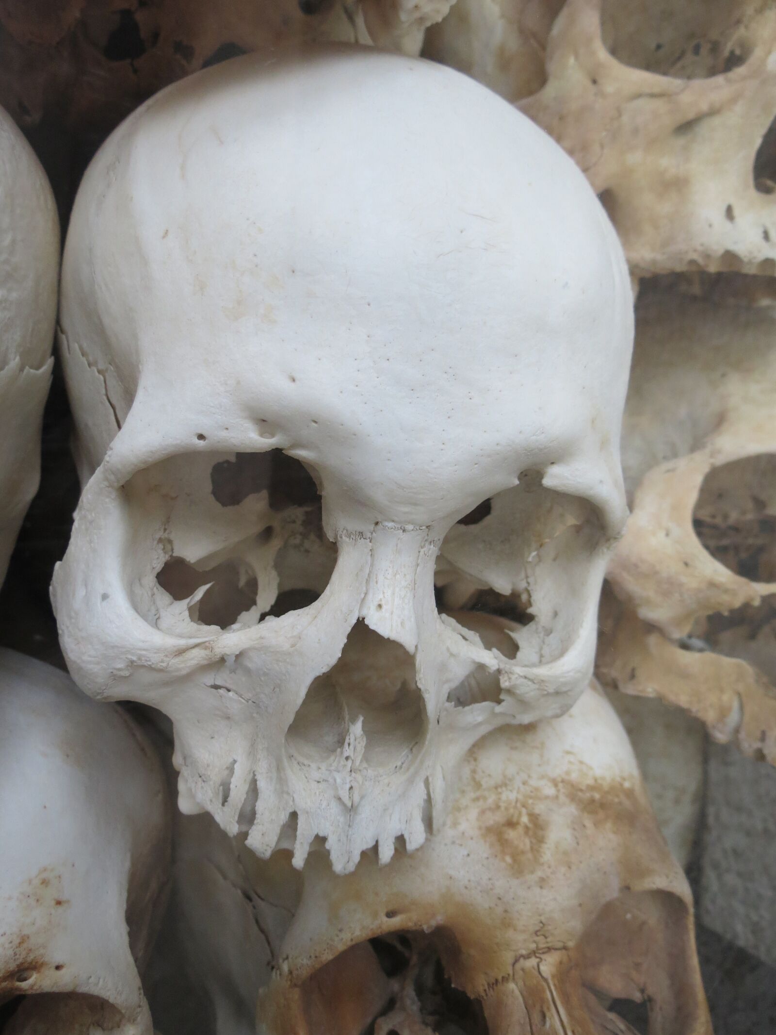 Canon PowerShot SX40 HS sample photo. Skull, white, vietnam photography