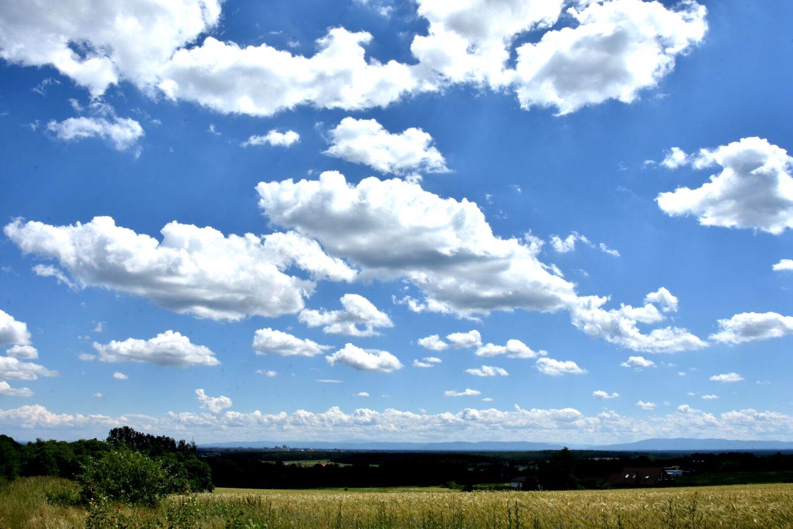 Nikon D7200 sample photo. Sky, panorama, summer photography