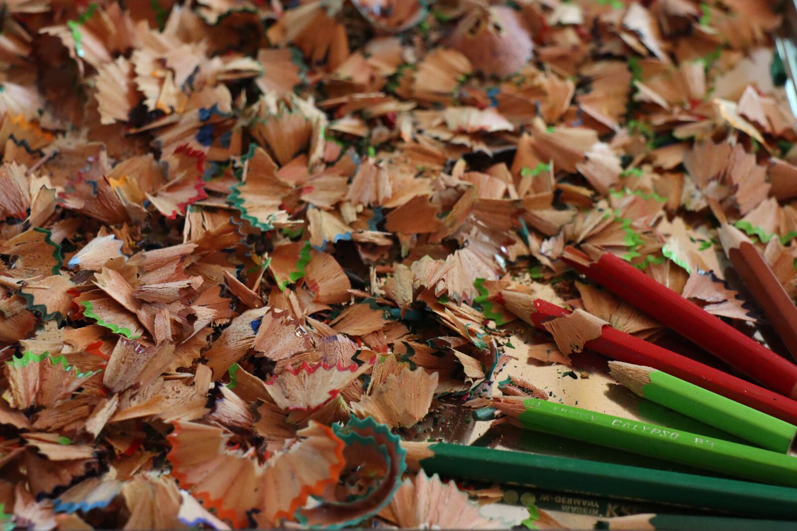 Canon EOS M50 (EOS Kiss M) + Canon EF-M 18-150mm F3.5-6.3 IS STM sample photo. Wooden pegs, colored pencil photography