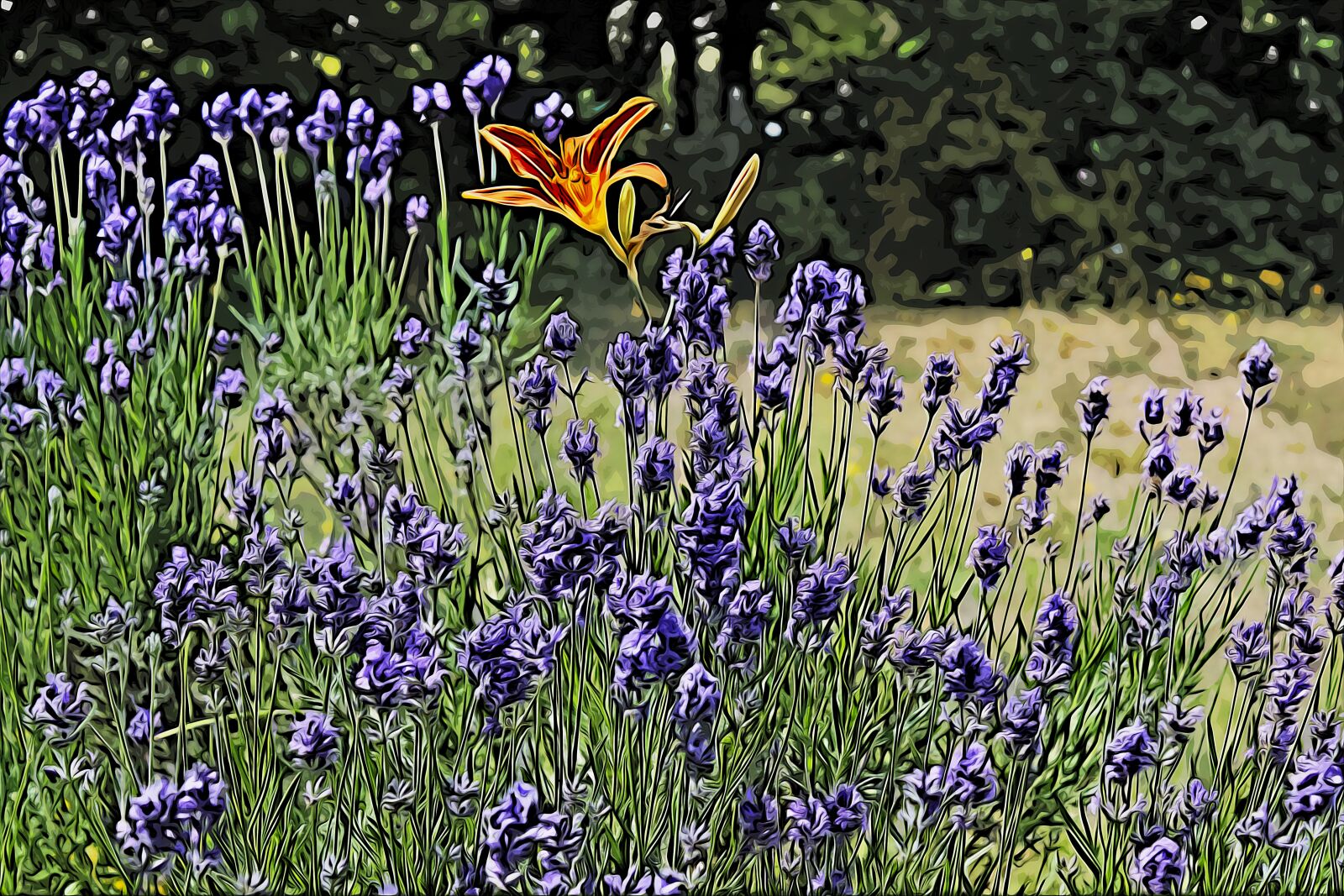 Canon EOS 600D (Rebel EOS T3i / EOS Kiss X5) sample photo. Lavender, iris, nature photography