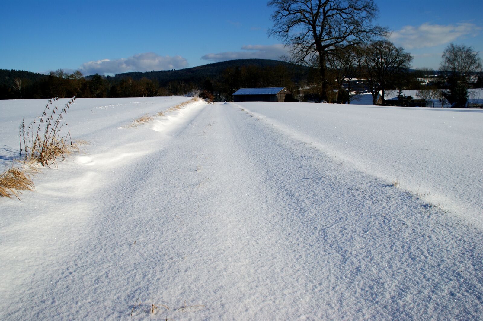 Sony Alpha DSLR-A350 sample photo. Winter, snow, frost photography