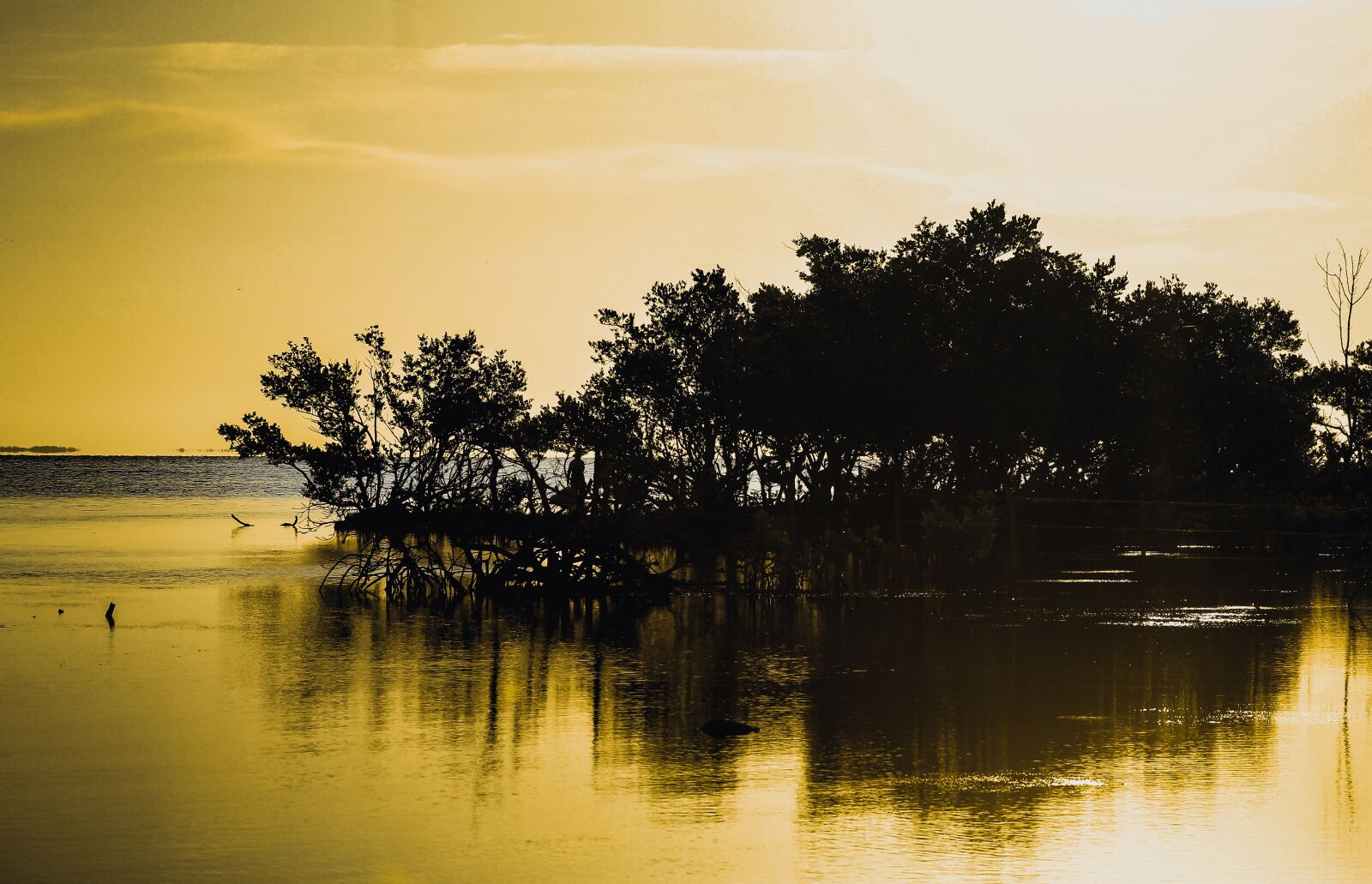 Canon EOS 600D (Rebel EOS T3i / EOS Kiss X5) + EF75-300mm f/4-5.6 sample photo. Mangrove swamp, mangrove, silhouette photography
