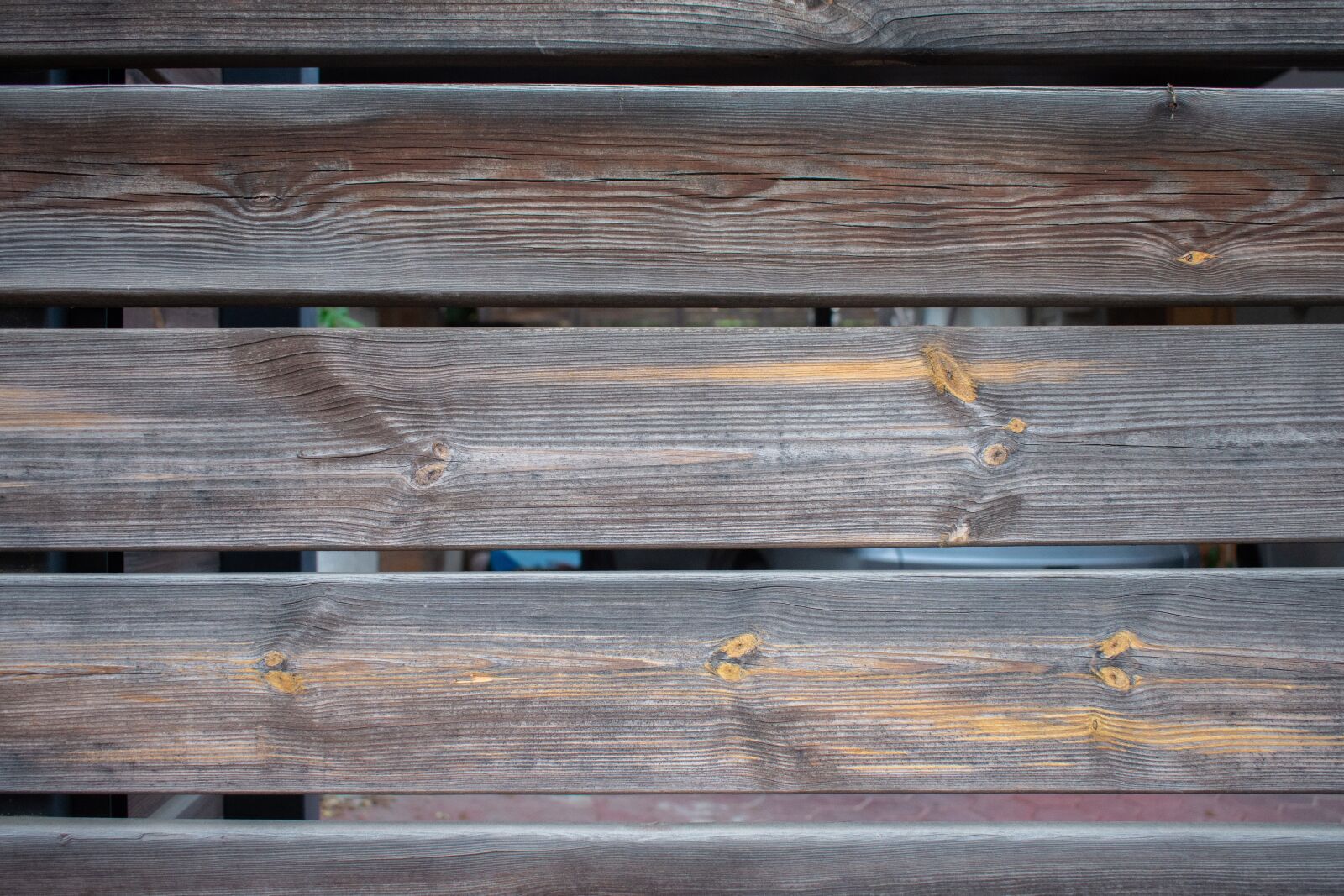 Nikon D7200 sample photo. Tree, fence, texture photography
