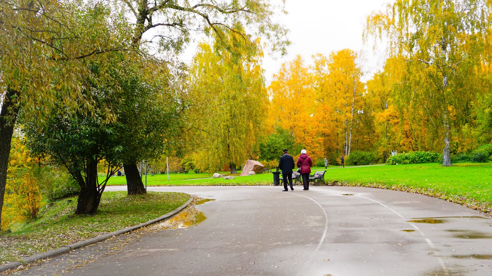 Sony E 16-50mm F3.5-5.6 PZ OSS sample photo. Autumn, season, fall photography