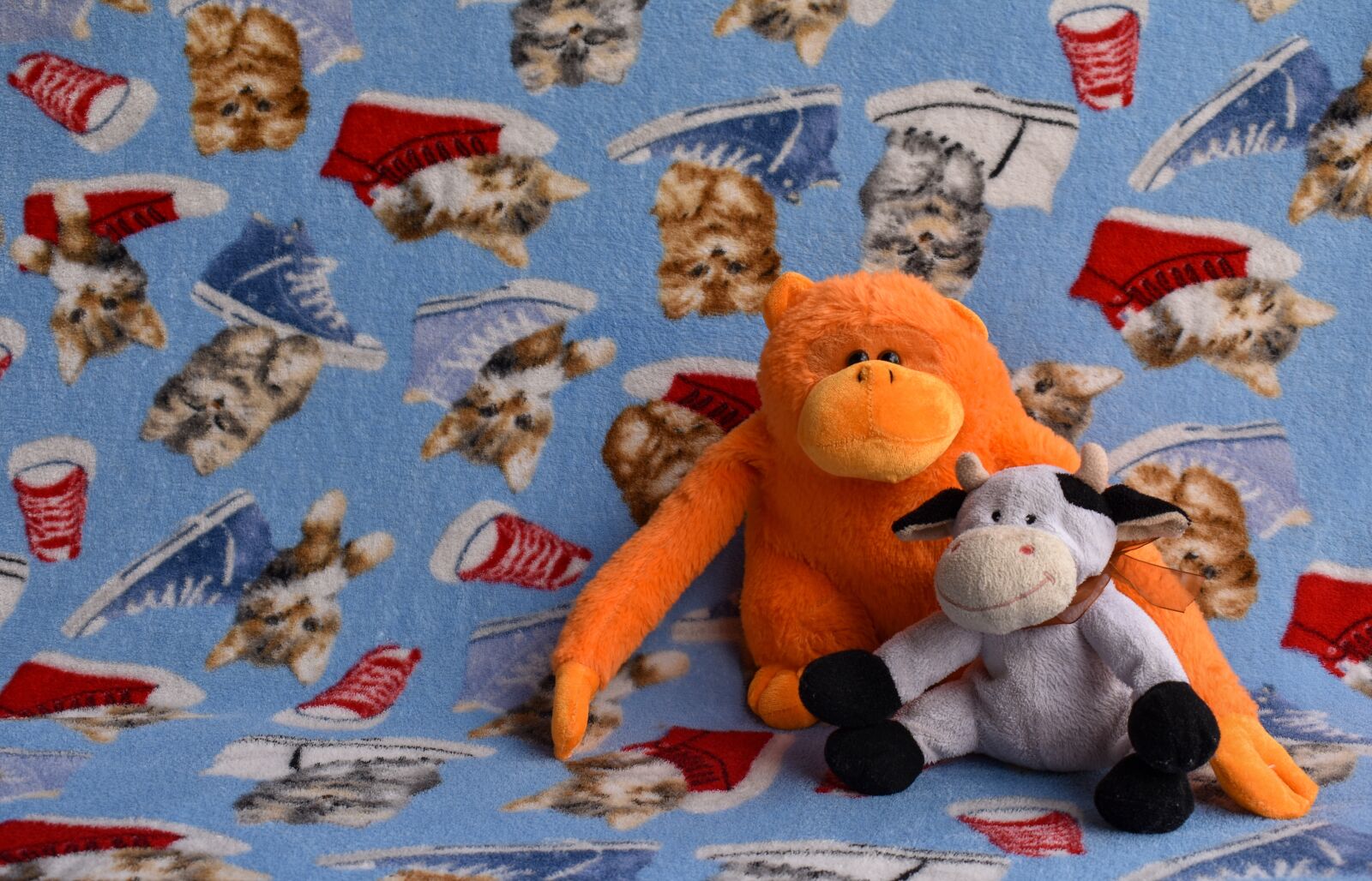 Nikon D3400 sample photo. Toy, children, kids photography