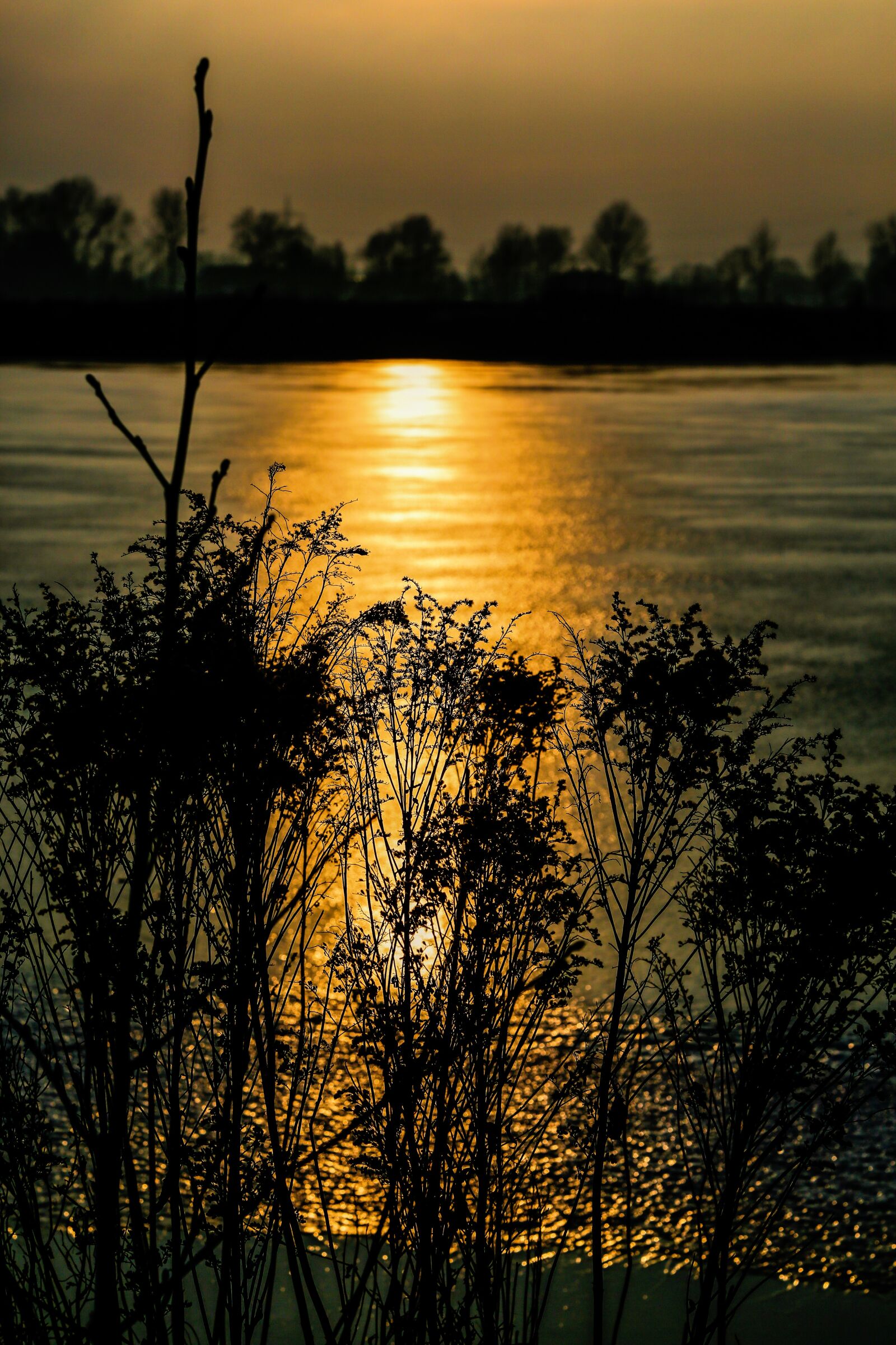 Canon EF 24-105mm F4L IS USM sample photo. Sunset, night crane, sky photography