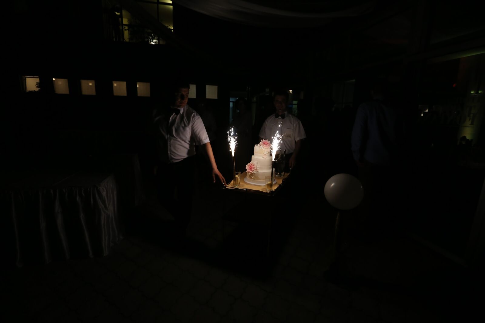 Canon EF 16-35mm F2.8L II USM sample photo. Bartender, birthday, birthday cake photography