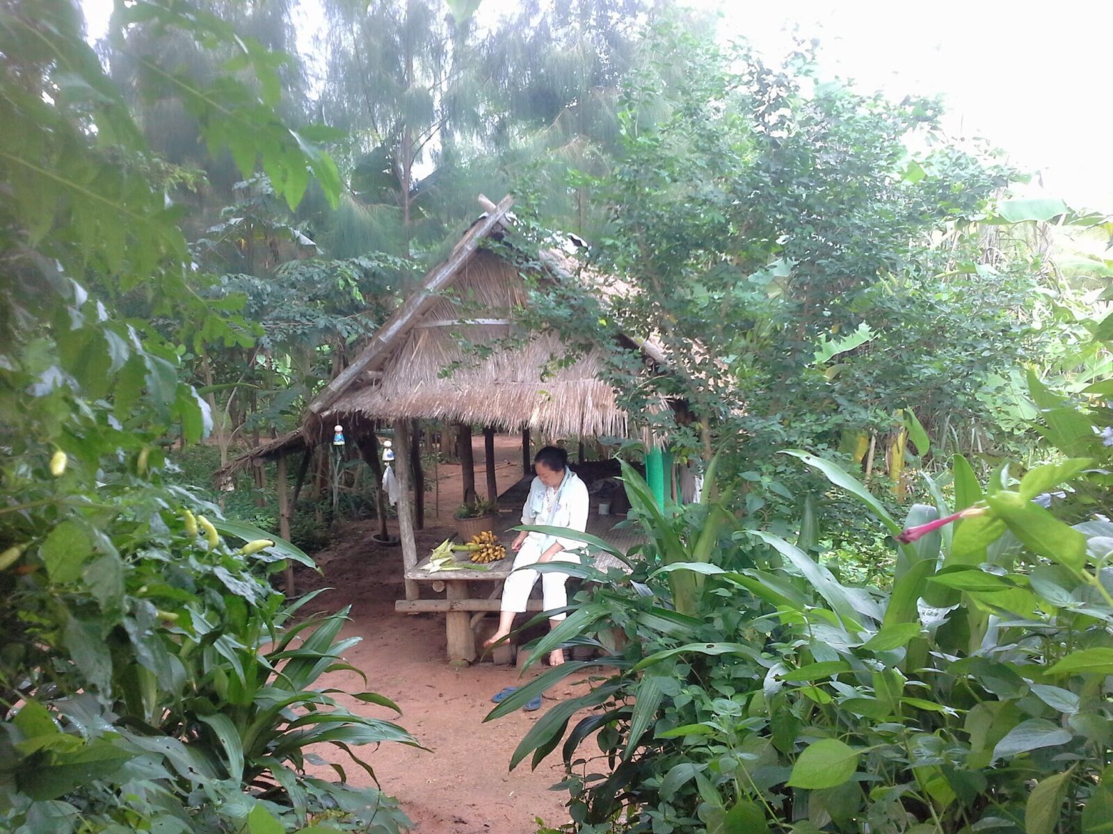 Samsung Galaxy Note 10.1 sample photo