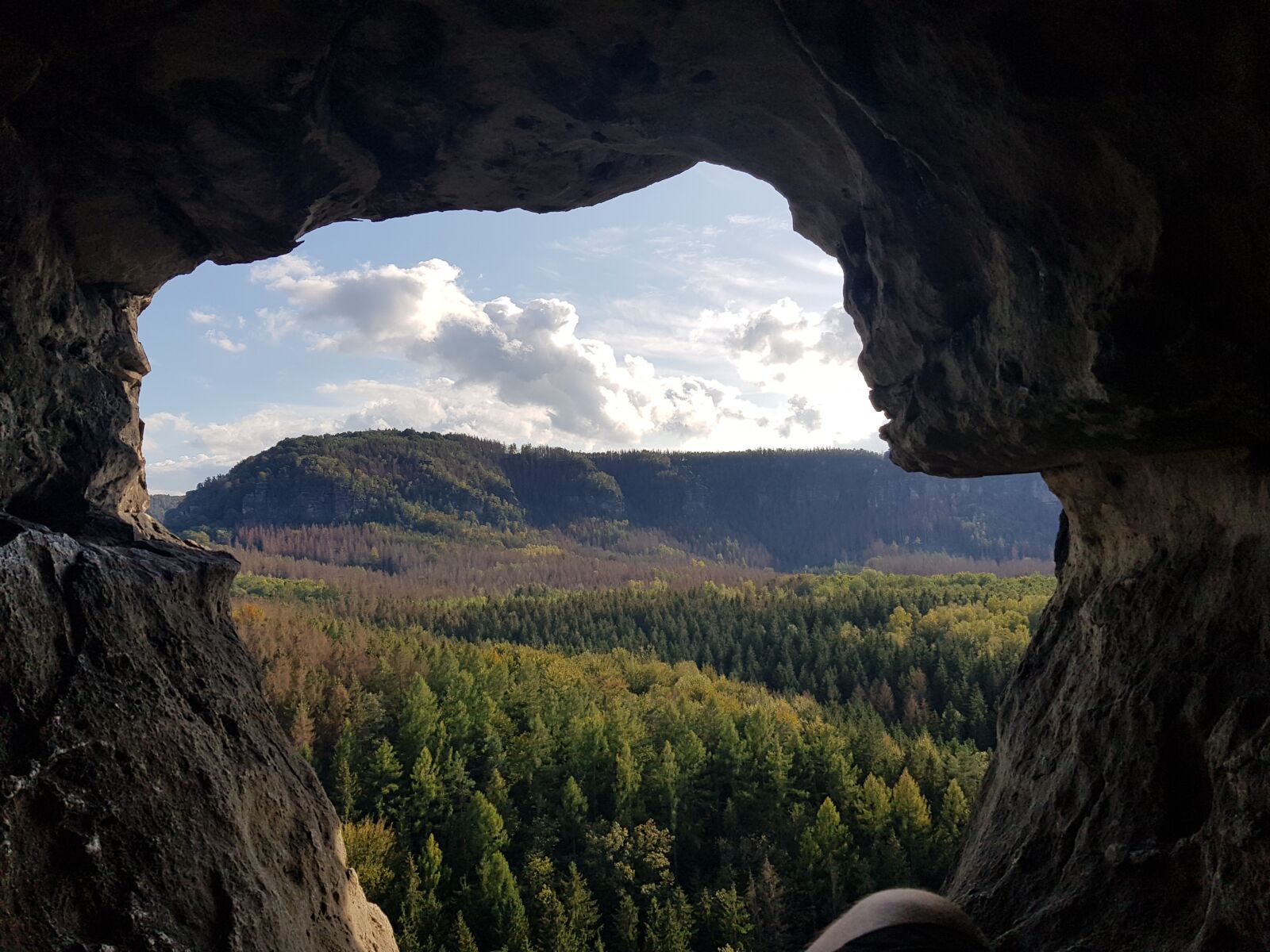 Samsung Galaxy S8+ sample photo. View, trees, woods photography