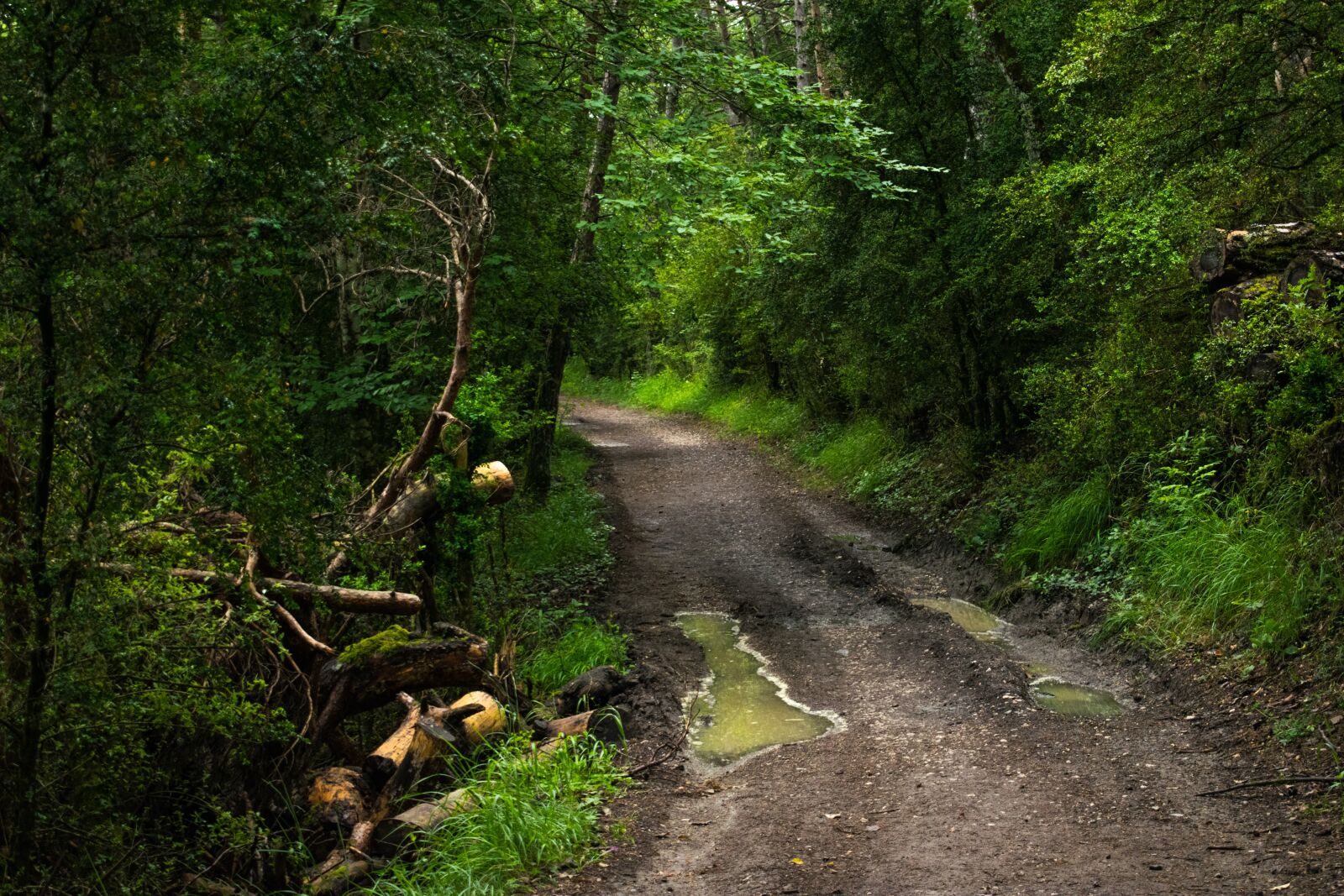 Nikon D3300 sample photo. Spain, santiago path, road photography