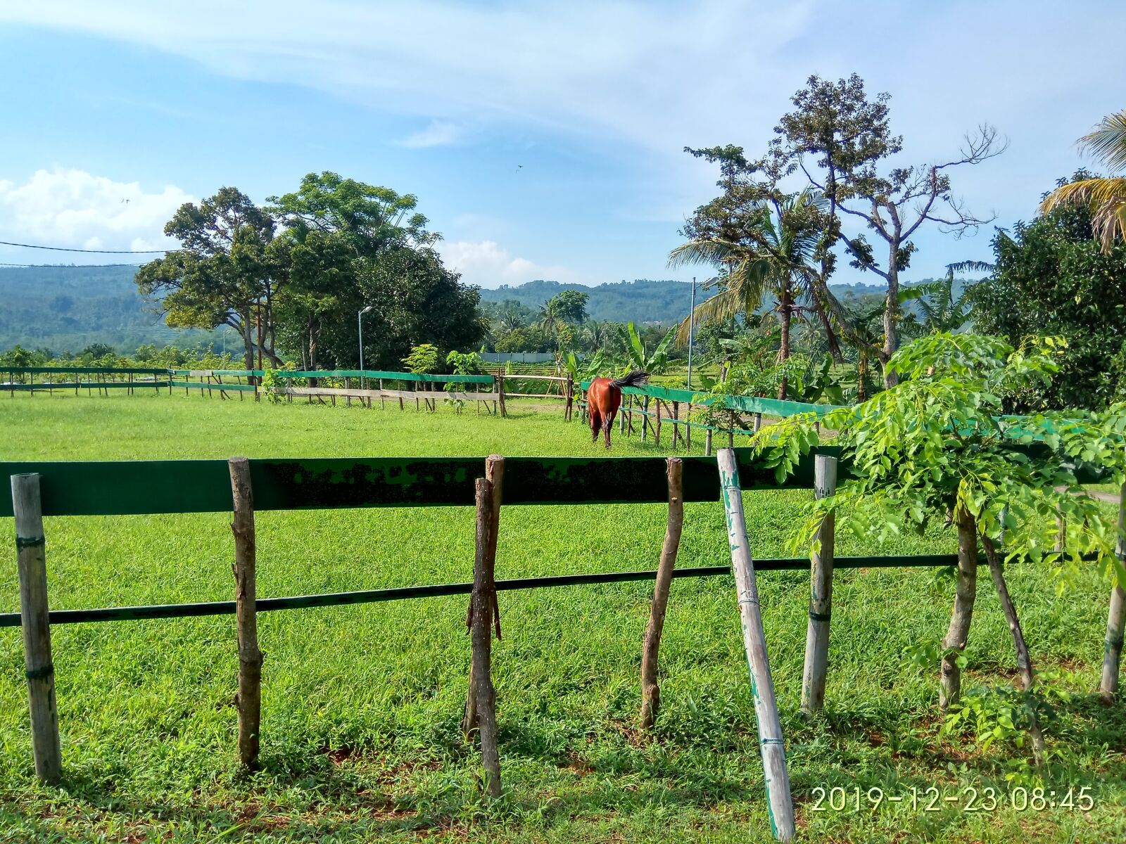 Xiaomi Redmi Note 4X sample photo. Nature, adventure, outdoor photography