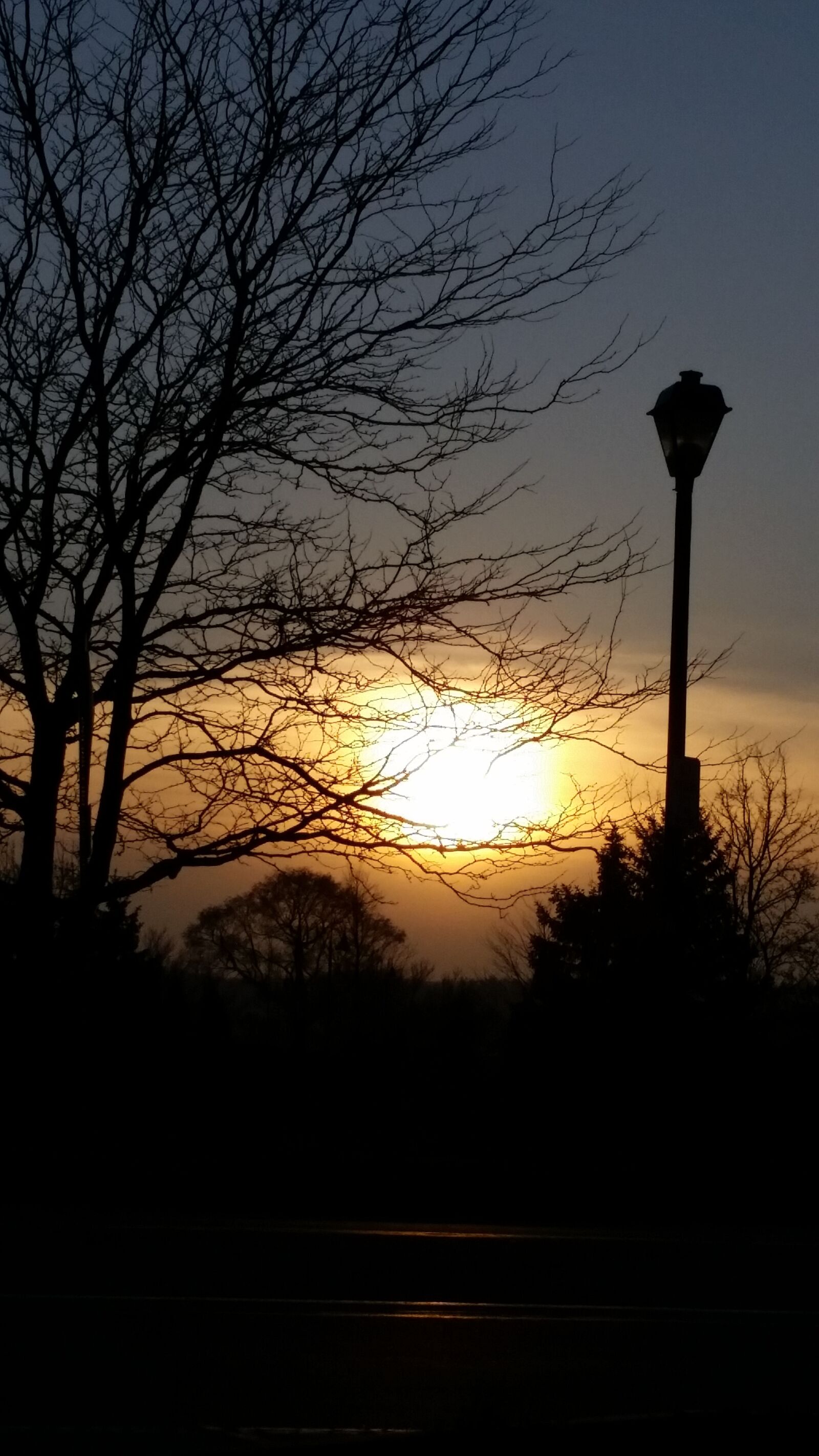 Samsung Galaxy S5 sample photo. Sunset, shadow, tree photography