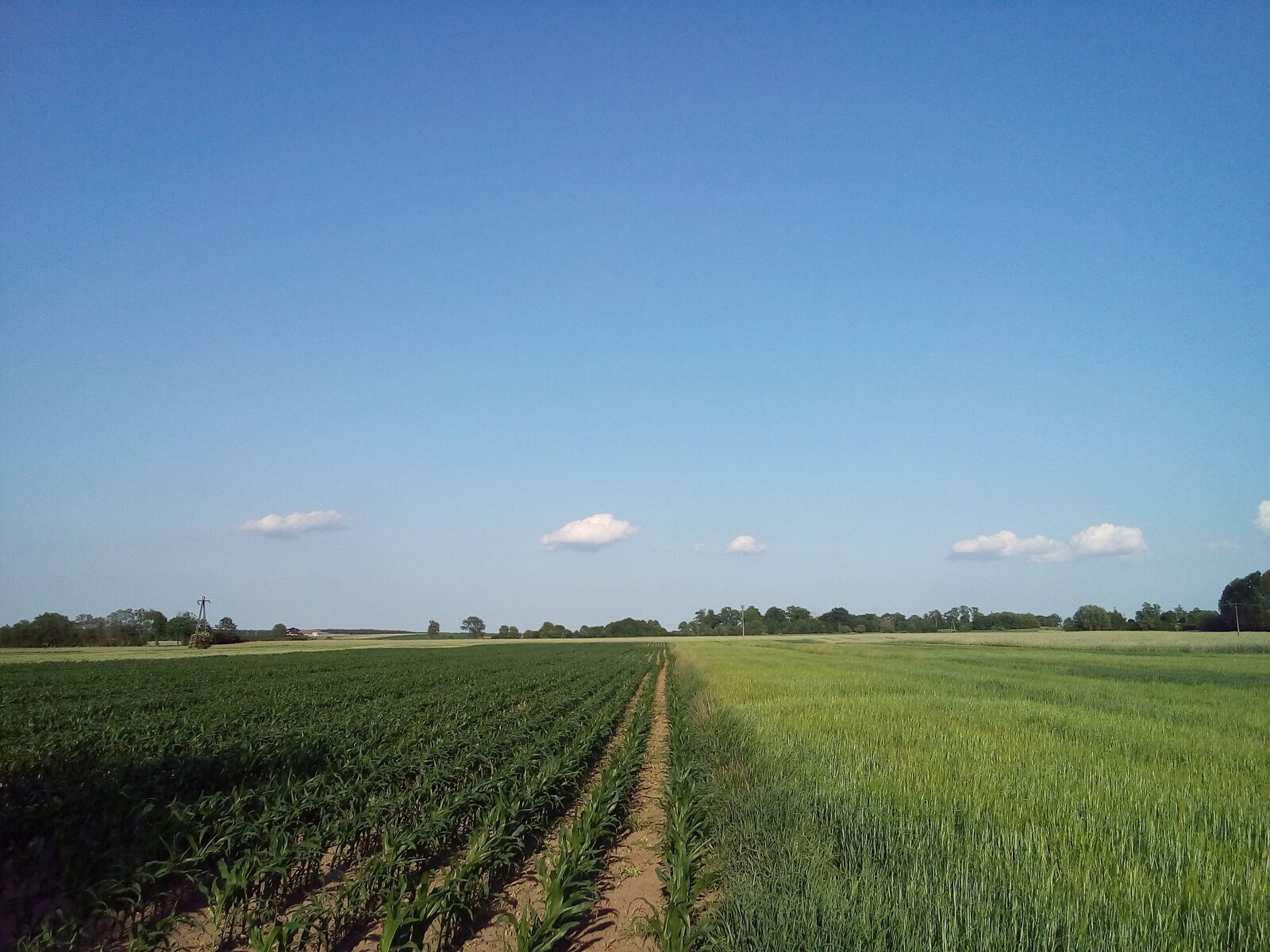 LG H500F sample photo. Blue, sky, farm, field photography