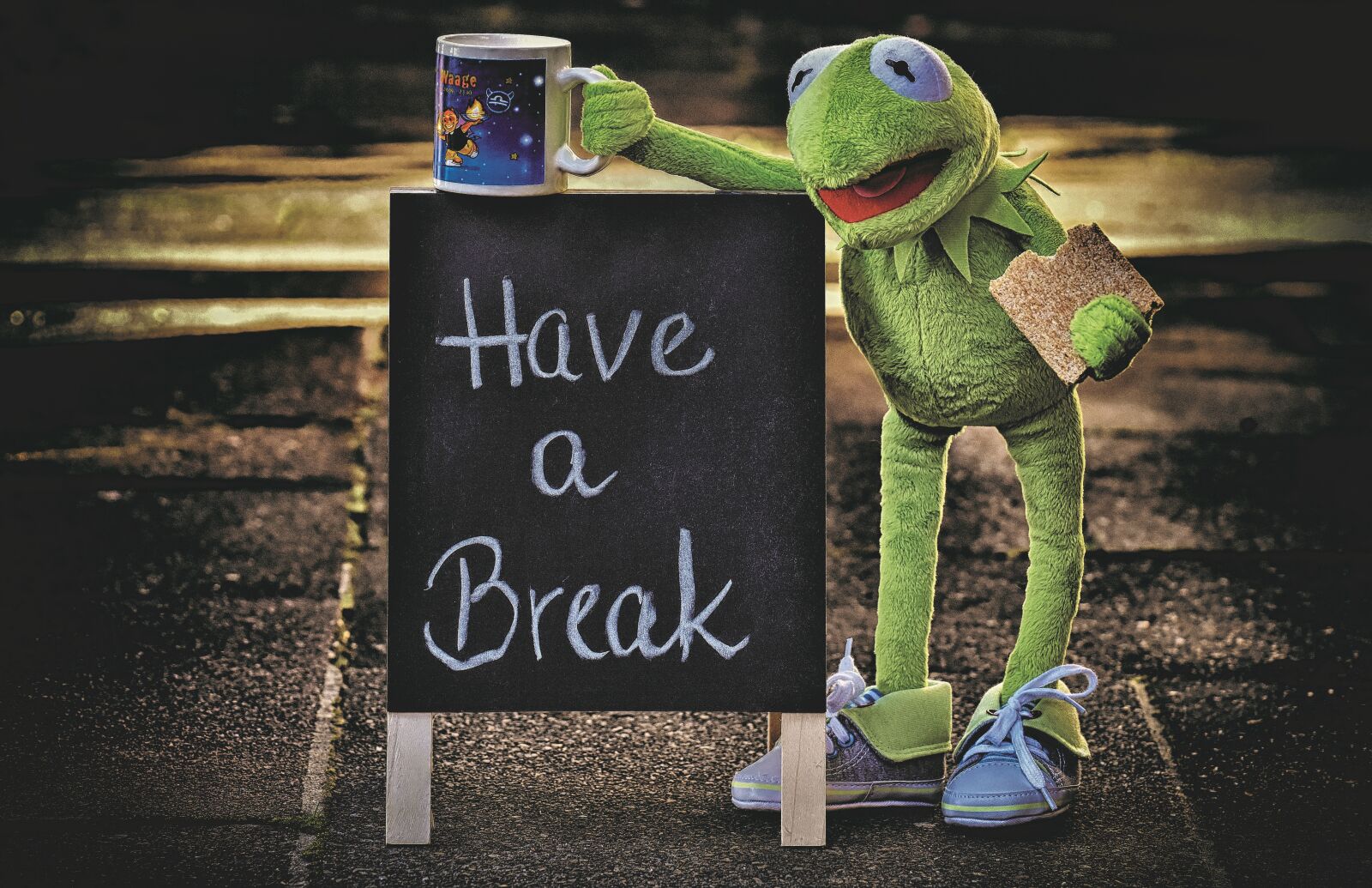 Nikon D7200 sample photo. Kermit, cup, drink coffee photography