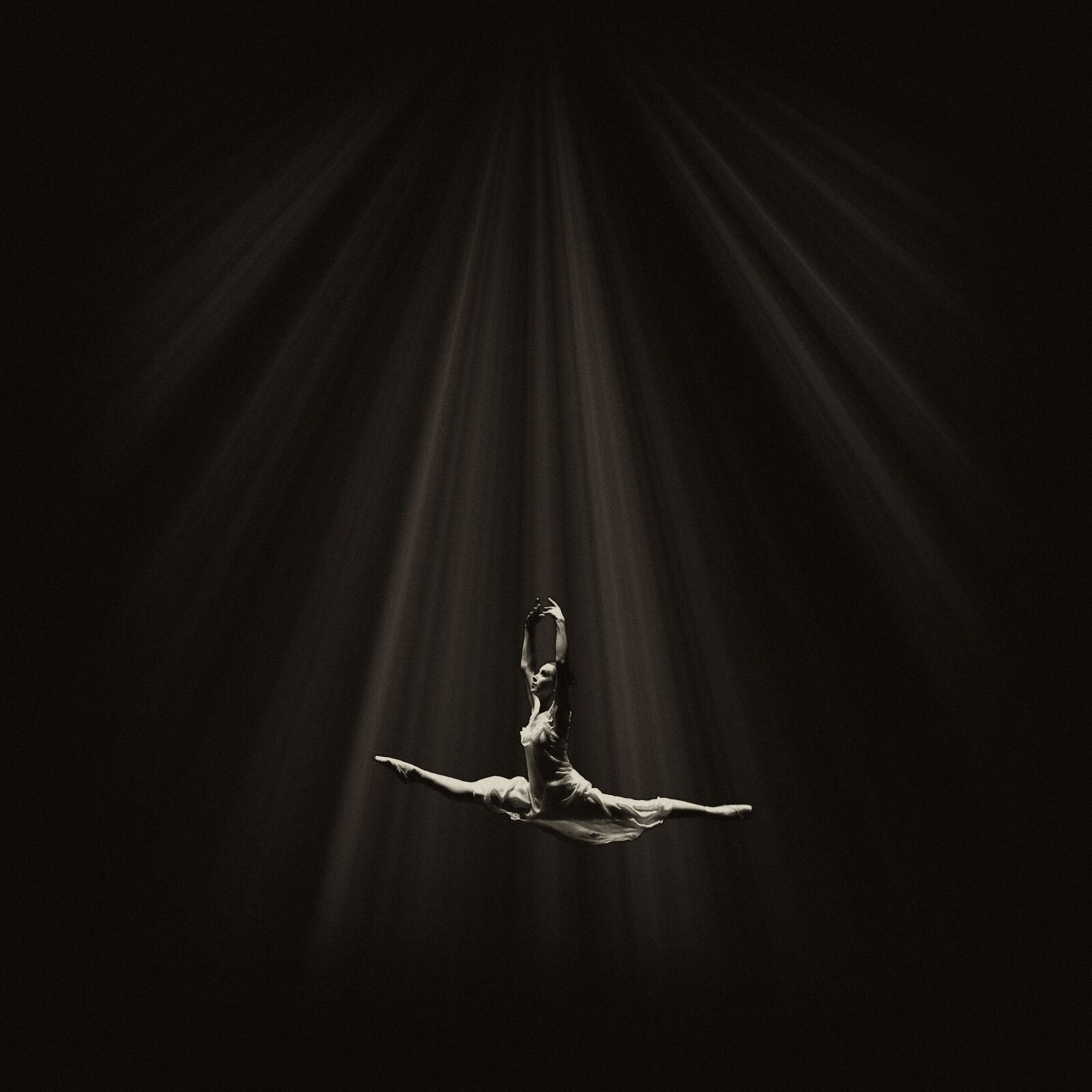 Nikon D700 sample photo. Ballet, flight, dance photography