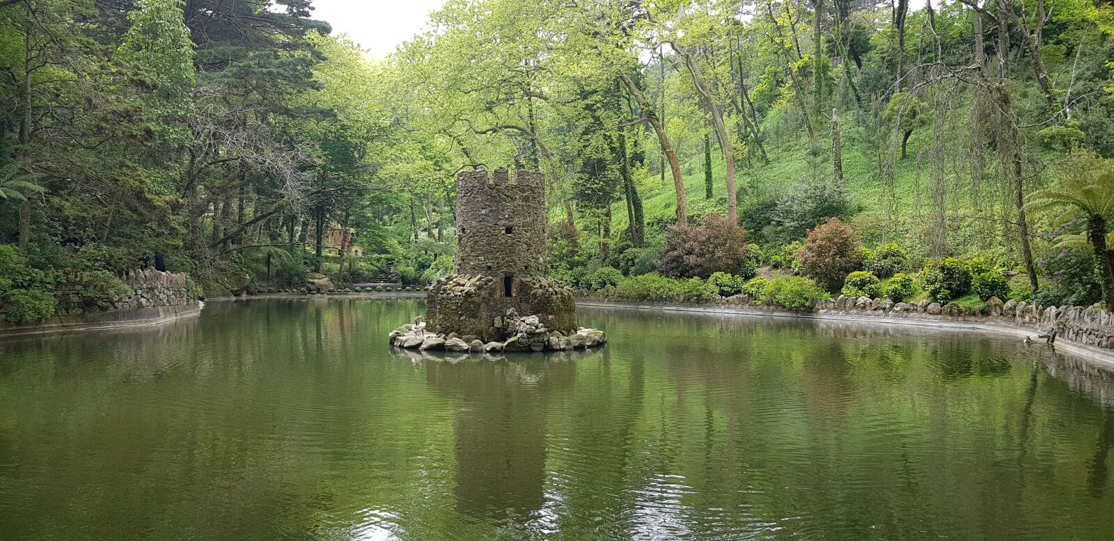 Samsung Galaxy S8 sample photo. Garden, tree, nature photography