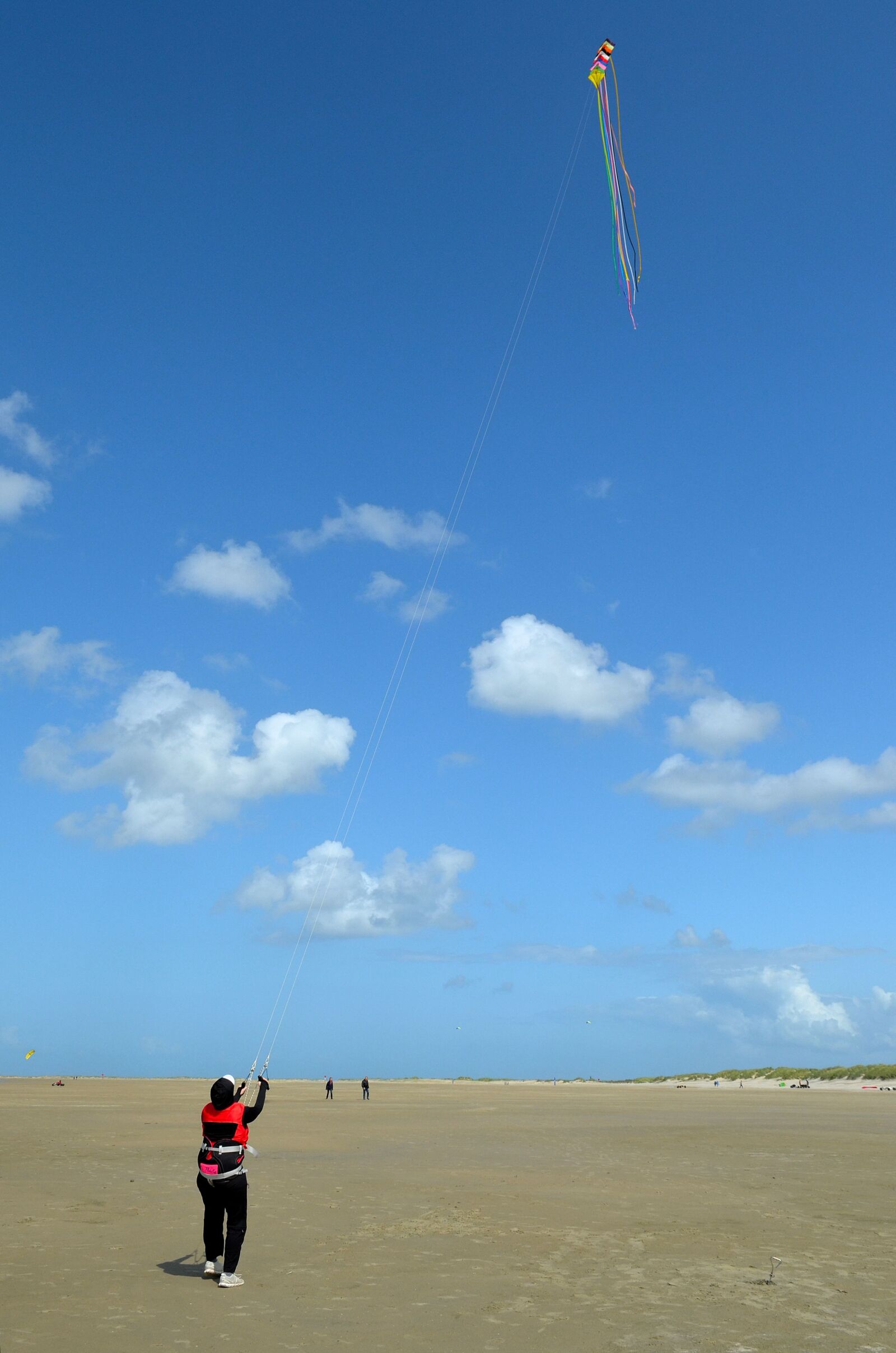 Nikon D5100 sample photo. Dragons, kite, kite flying photography