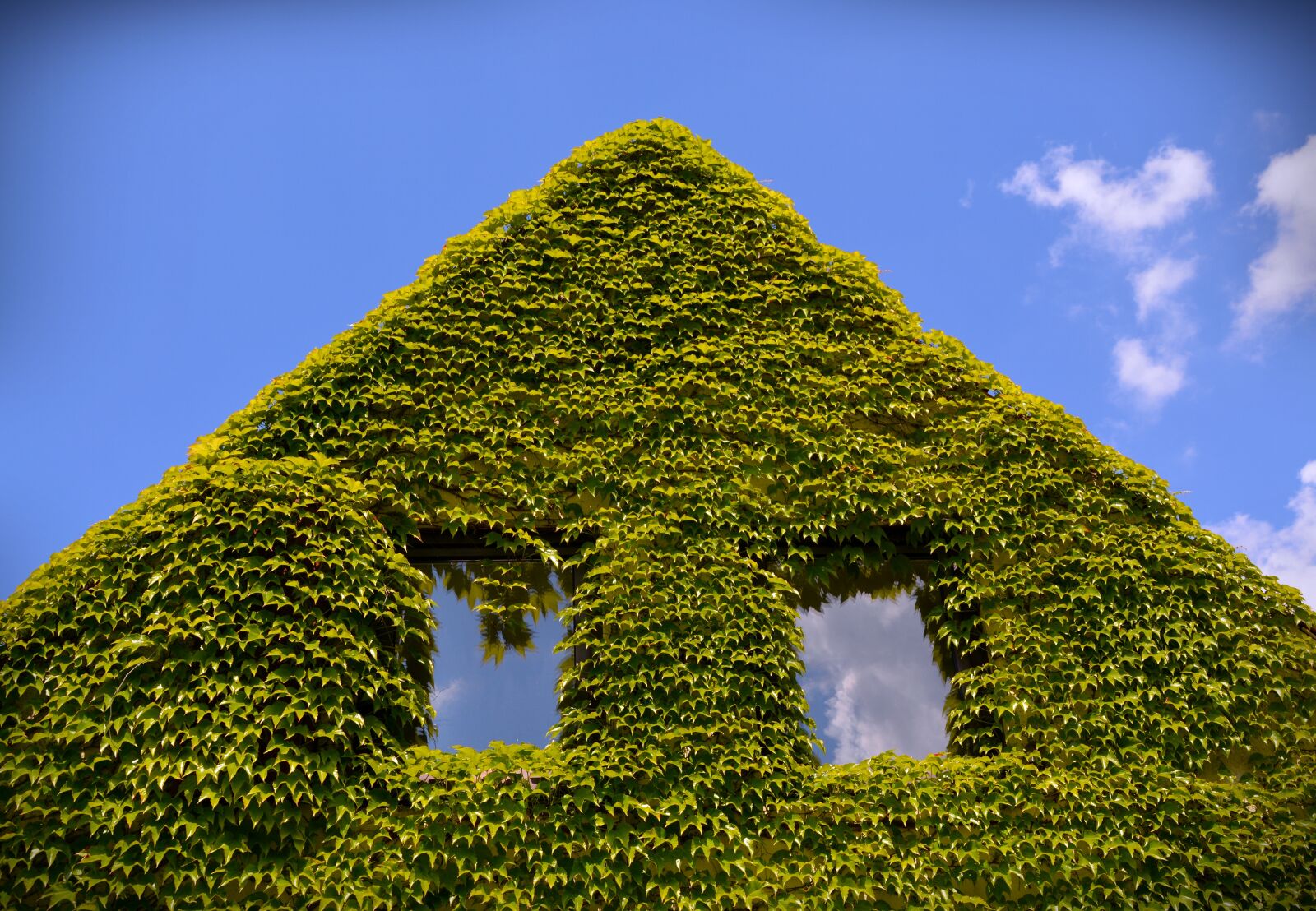 Nikon D5200 sample photo. Wine, gable, house photography