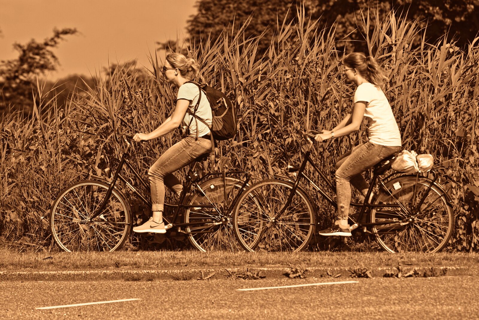Nikon D750 sample photo. Person, woman, bicycle photography