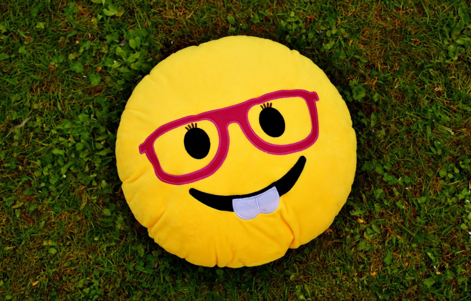 Nikon D7200 sample photo. Smiley, funny, cheerful photography