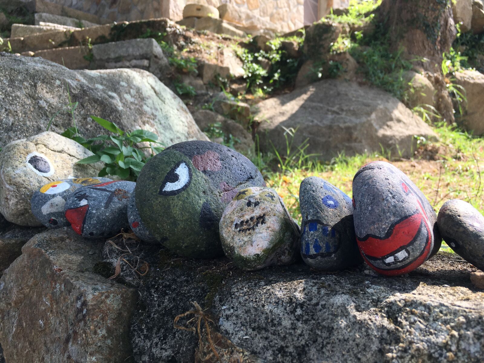 Apple iPhone 6s sample photo. Stone, original, fish photography