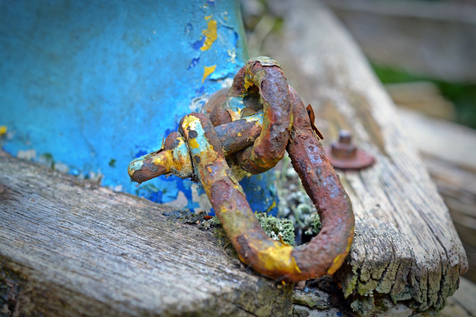 Nikon D5200 sample photo. Old, rusted, shackles photography