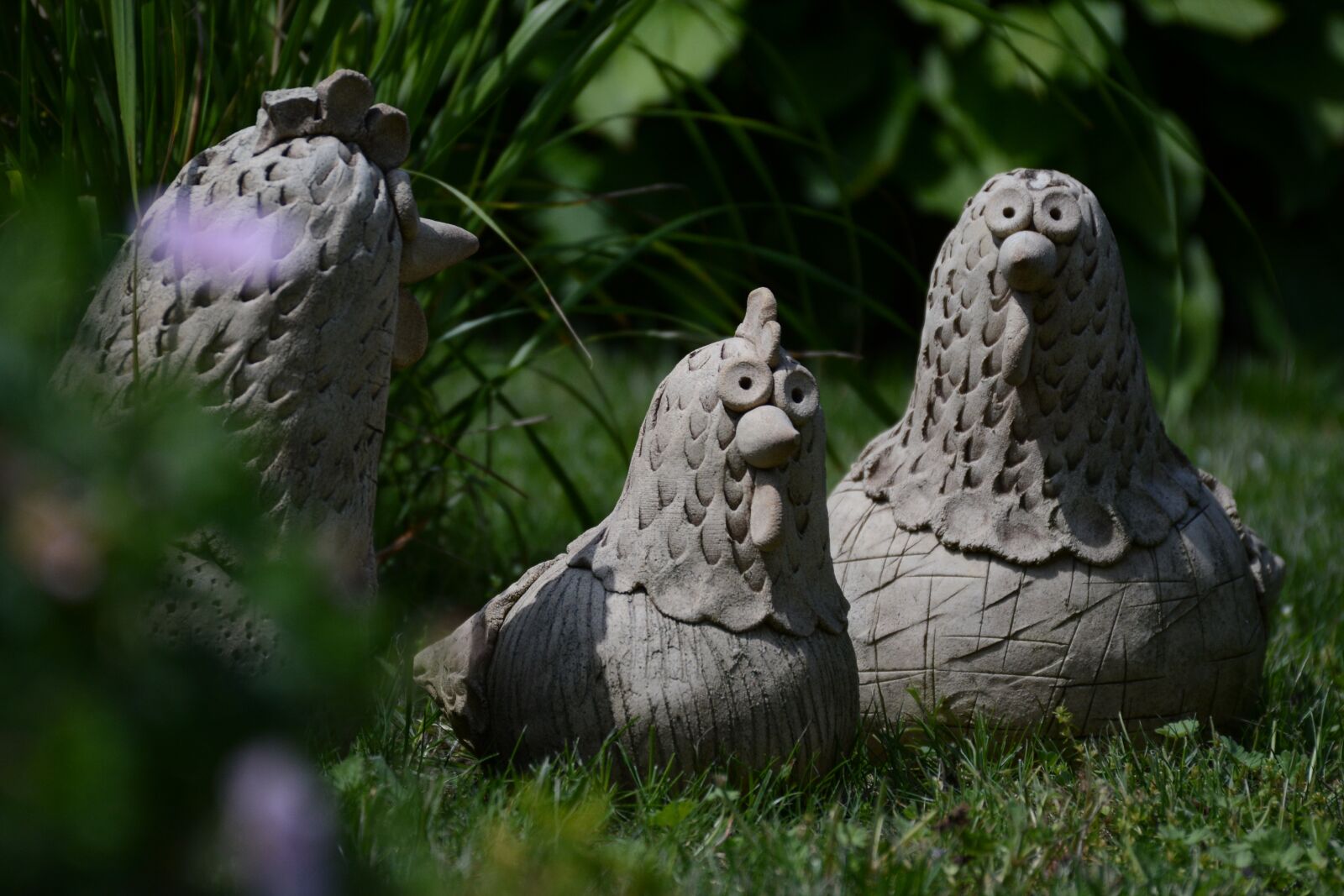 Nikon D7100 sample photo. Hen, chicken, animal photography