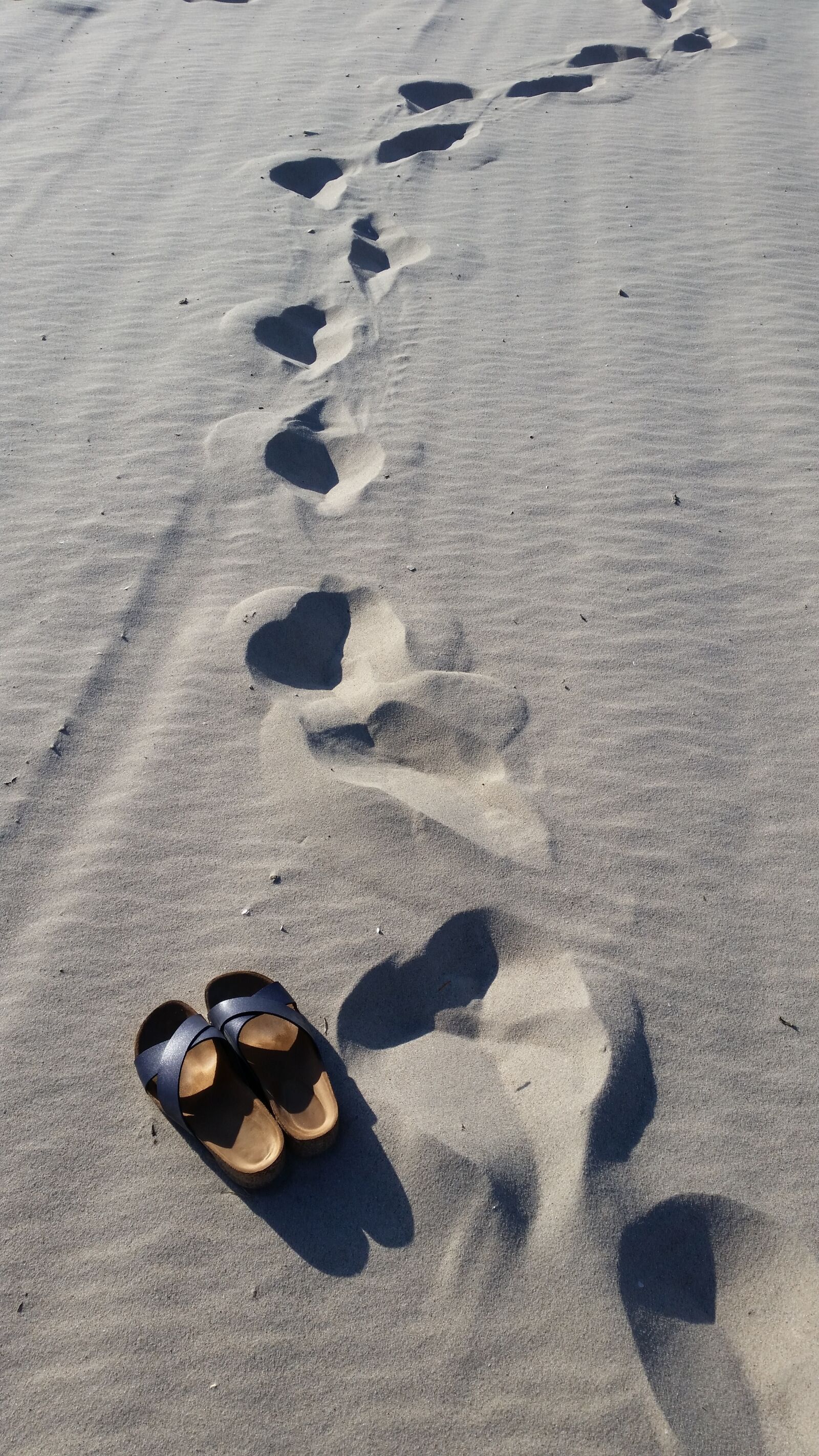 Samsung Galaxy S5 sample photo. Away, beach, nature photography