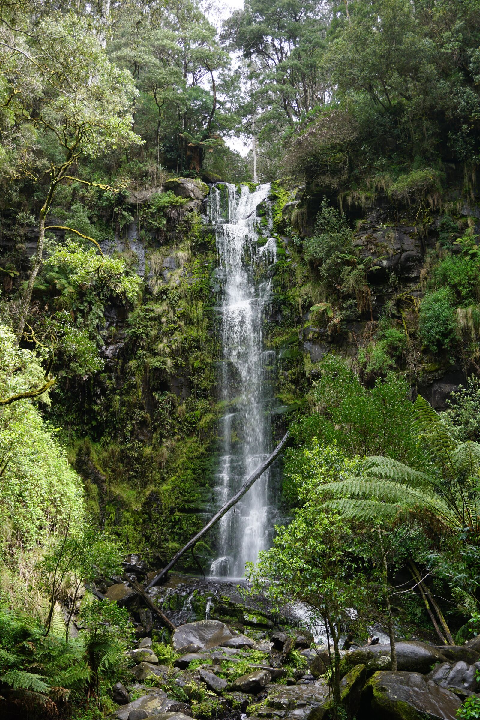 Sony a6000 sample photo. Erskine falls, ottways, lorne photography
