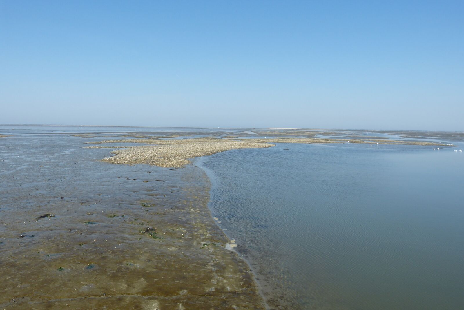 Panasonic Lumix DMC-FZ150 sample photo. North sea, mudflat hiking photography