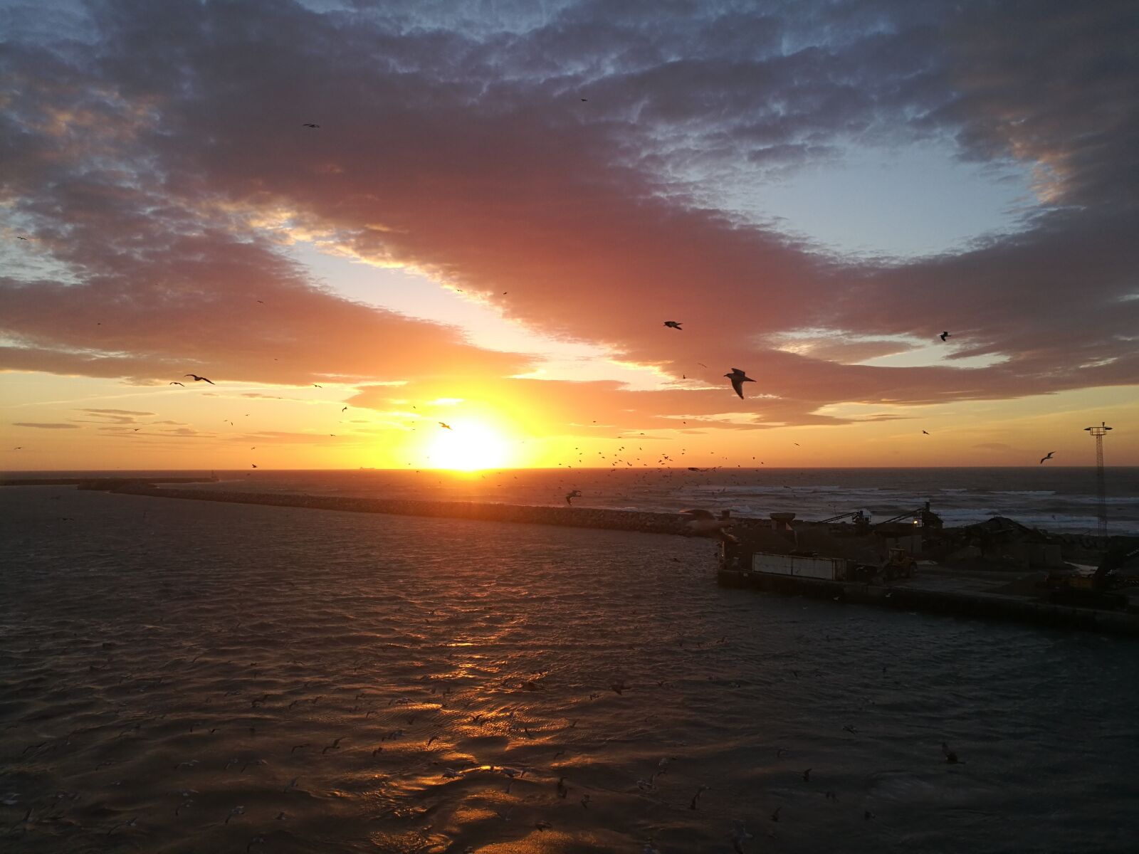 HUAWEI Honor 8 sample photo. Sunset, sea, gulls photography