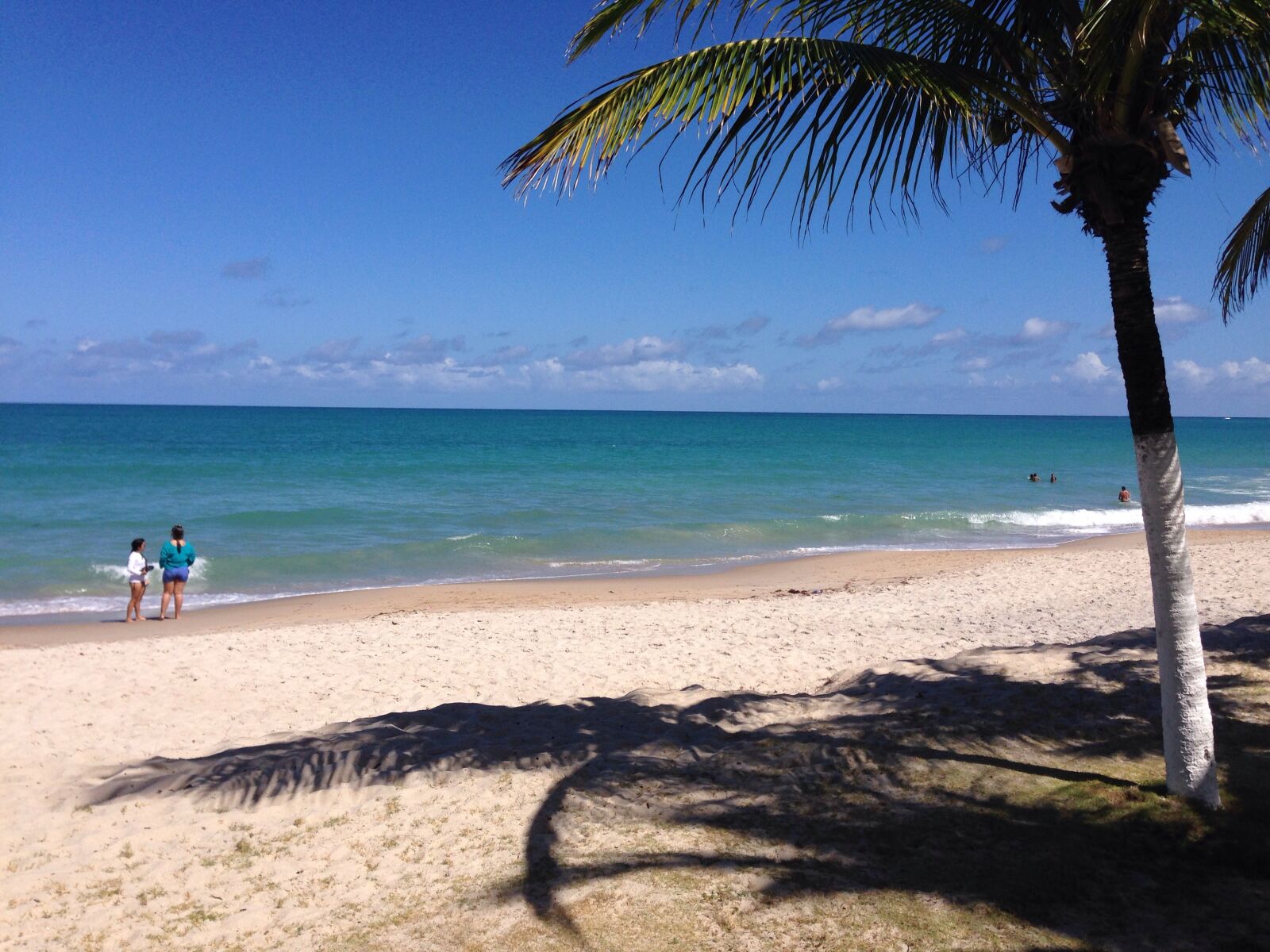 iPhone 5 back camera 4.12mm f/2.4 sample photo. Tamandaré, beach, pernambuco photography