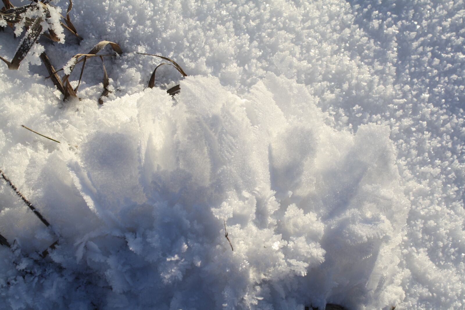 Canon EOS 1000D (EOS Digital Rebel XS / EOS Kiss F) sample photo. Winter, ice, snow photography