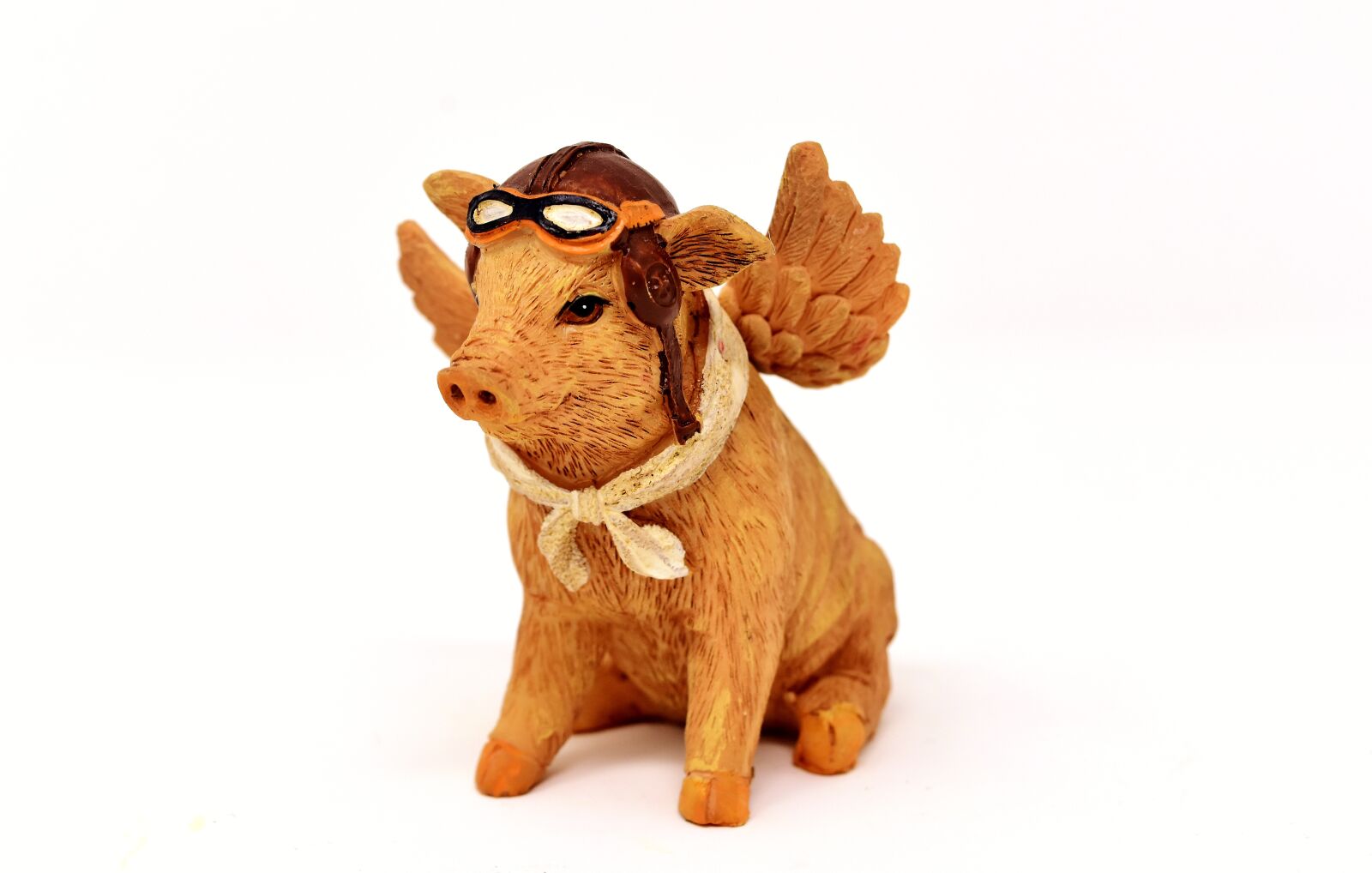 Nikon D7200 sample photo. Lucky pig, guardian angel photography