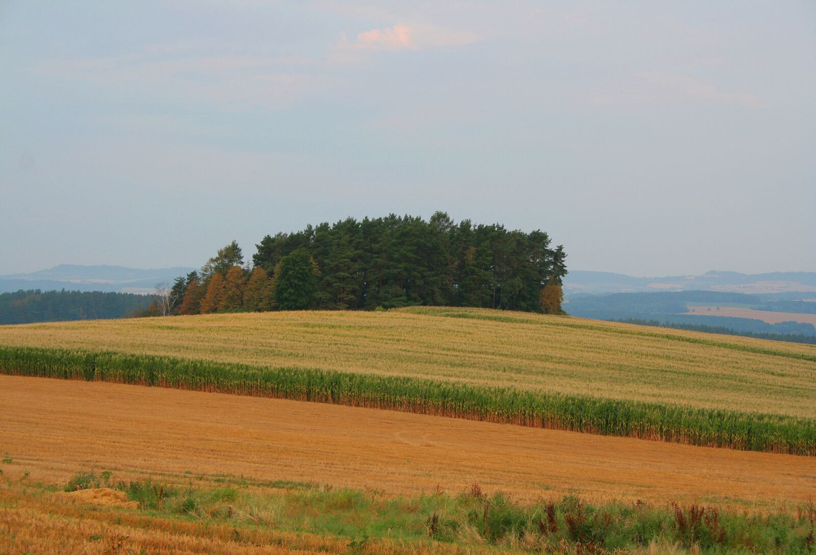 Canon EOS 350D (EOS Digital Rebel XT / EOS Kiss Digital N) sample photo. Corn, field, czechia photography