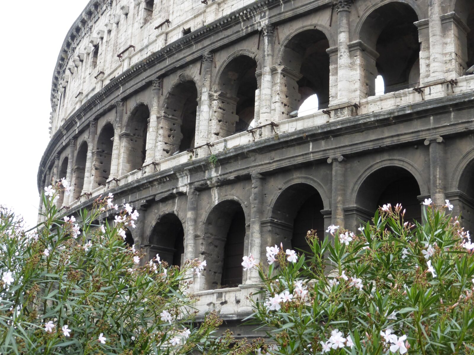 Panasonic Lumix DMC-ZS25 (Lumix DMC-TZ35) sample photo. Italy, rome, coliseum photography
