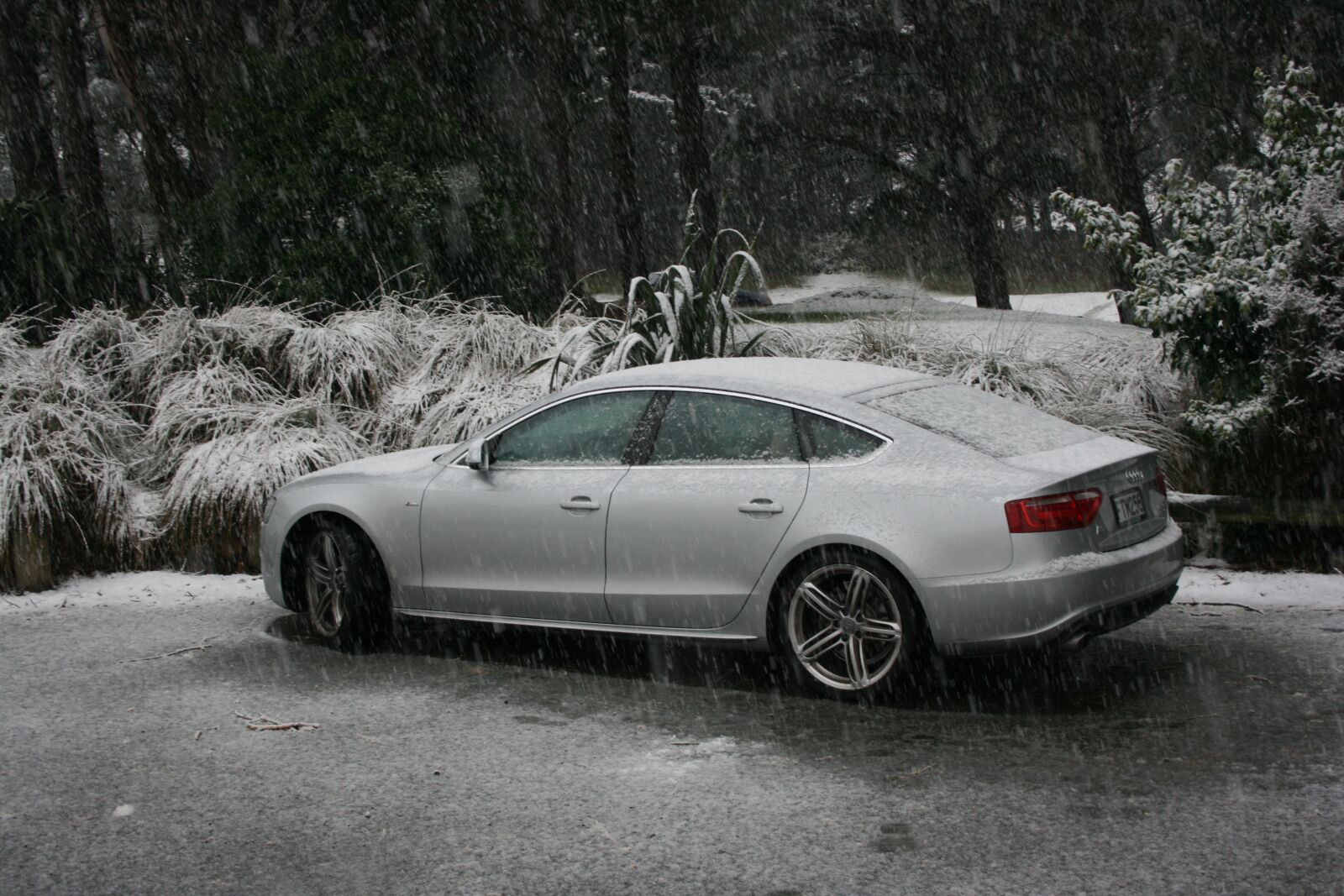 Canon EOS 400D (EOS Digital Rebel XTi / EOS Kiss Digital X) sample photo. Snow, new zealand, nz photography