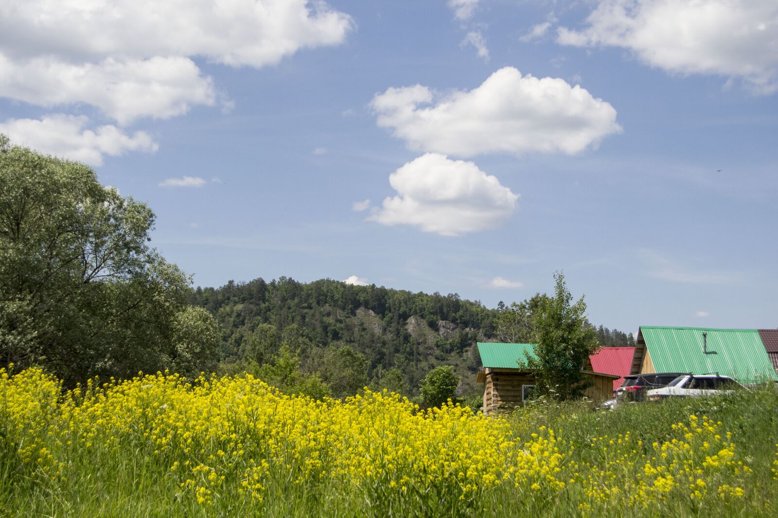 Nikon D3100 sample photo. Spring, bashkiria, a field photography