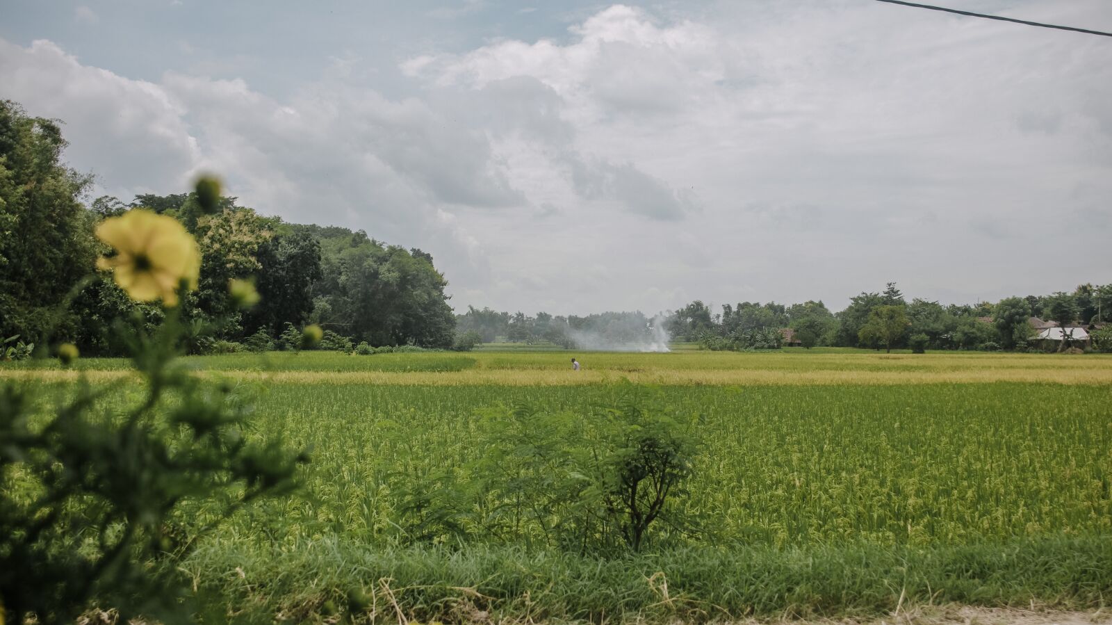 Canon EOS 600D (Rebel EOS T3i / EOS Kiss X5) sample photo. Landscape, beautiful, nature photography