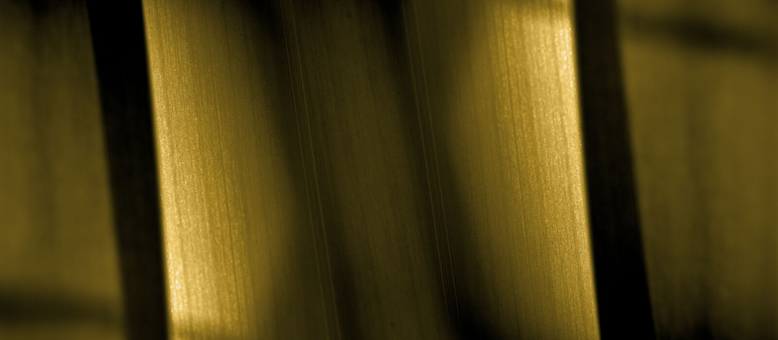 Nikon D7000 + Nikon AF-S Nikkor 50mm F1.8G sample photo. Abstract, abstrato, background, brazilian photography