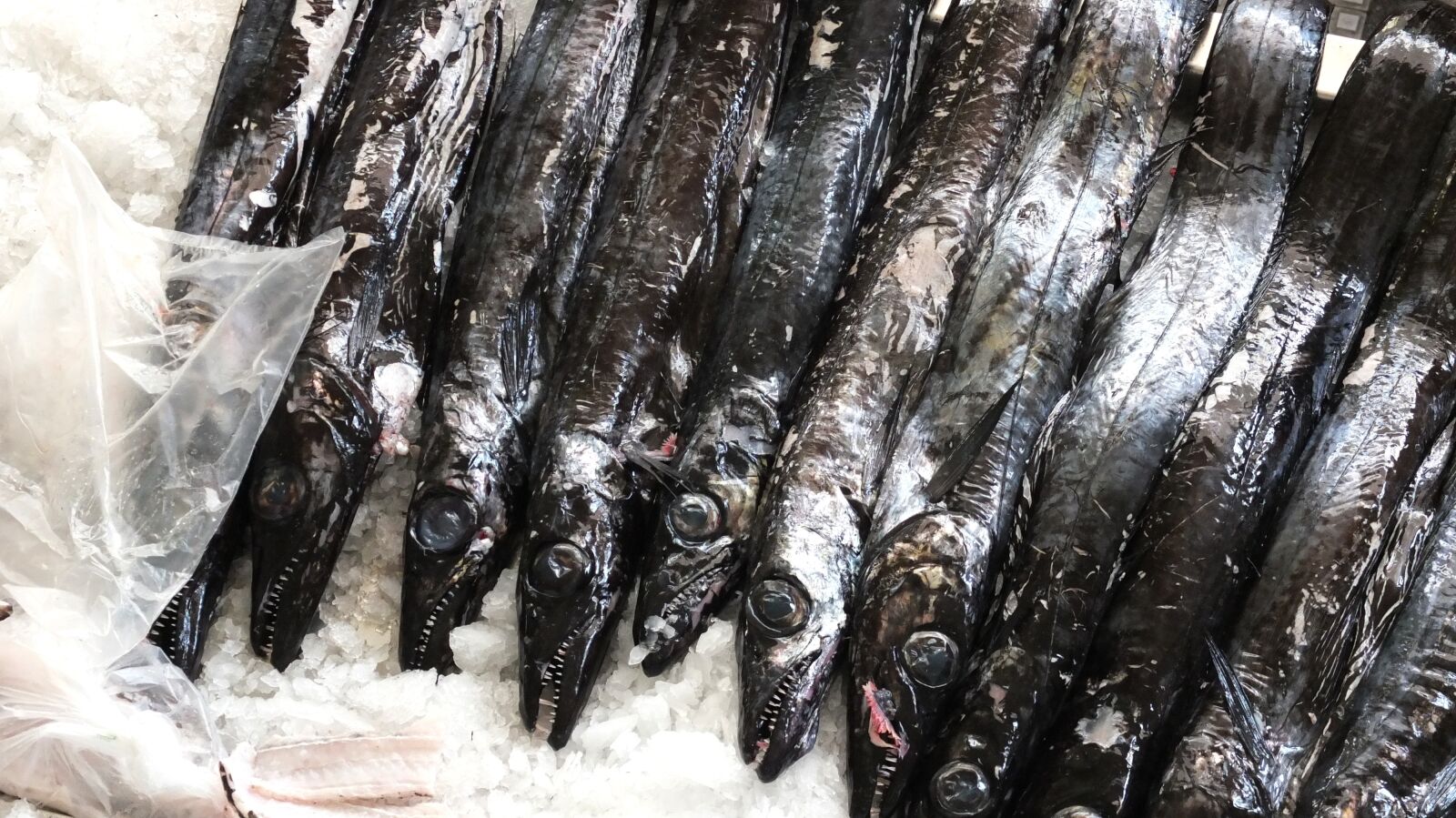 Fujifilm X10 sample photo. Fish, ice, food photography
