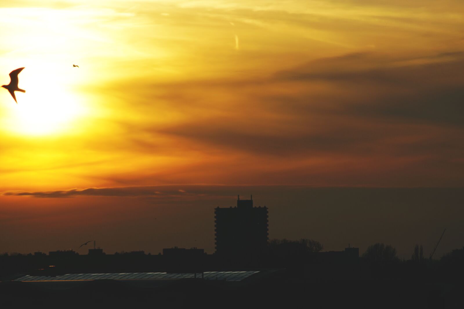 Sony ILCA-77M2 sample photo. Backlit, city, dawn, daylight photography