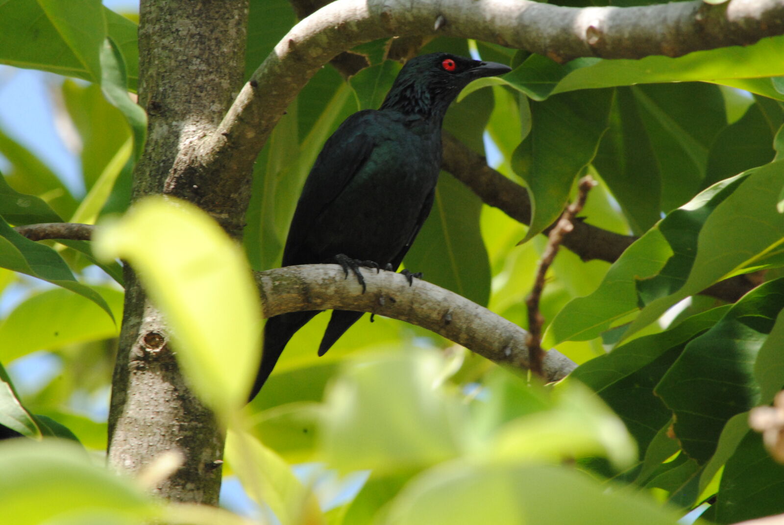 Nikon D3000 sample photo. Low, angle, view, of photography