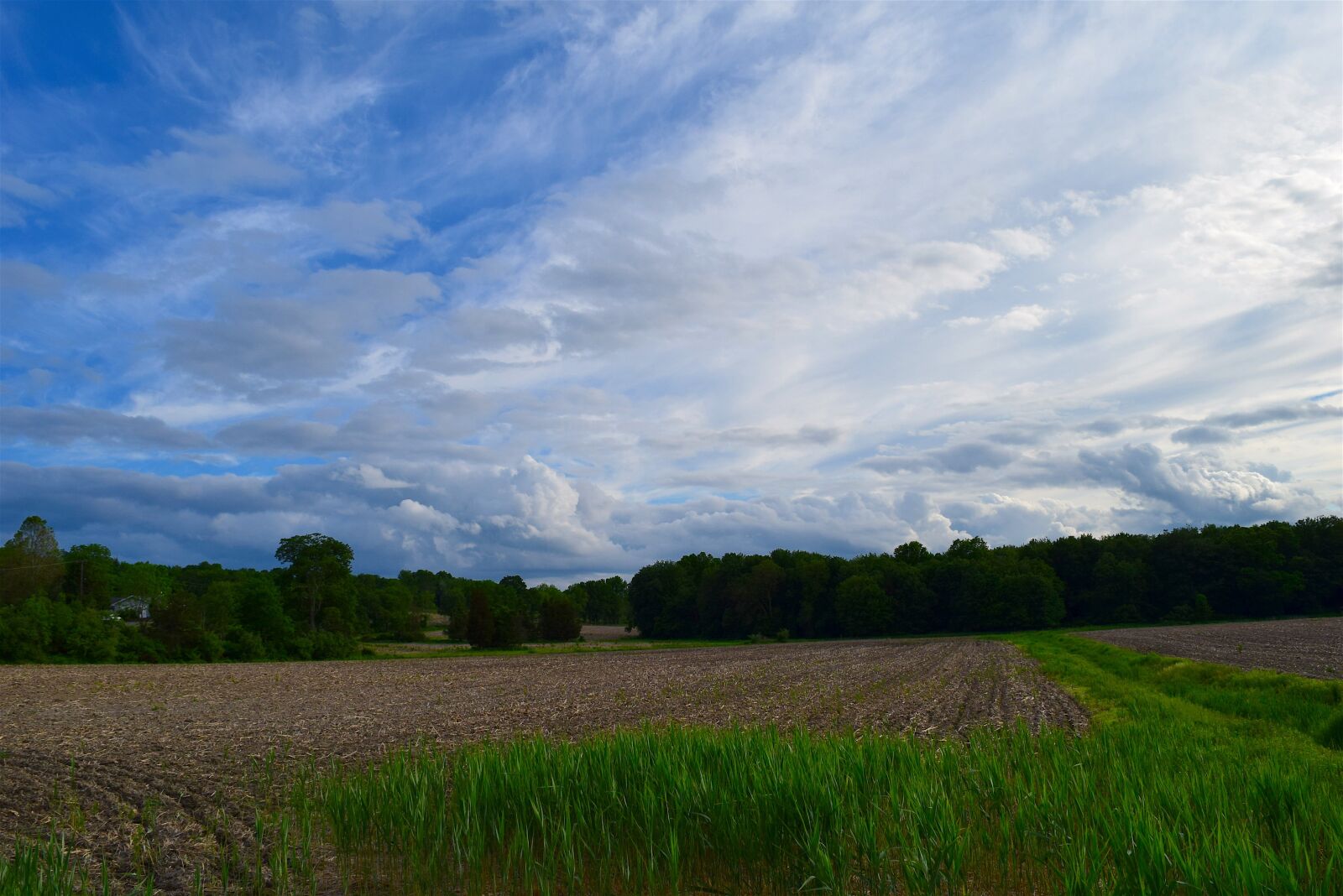 Nikon D3300 sample photo. Cloudy sky, farm field photography