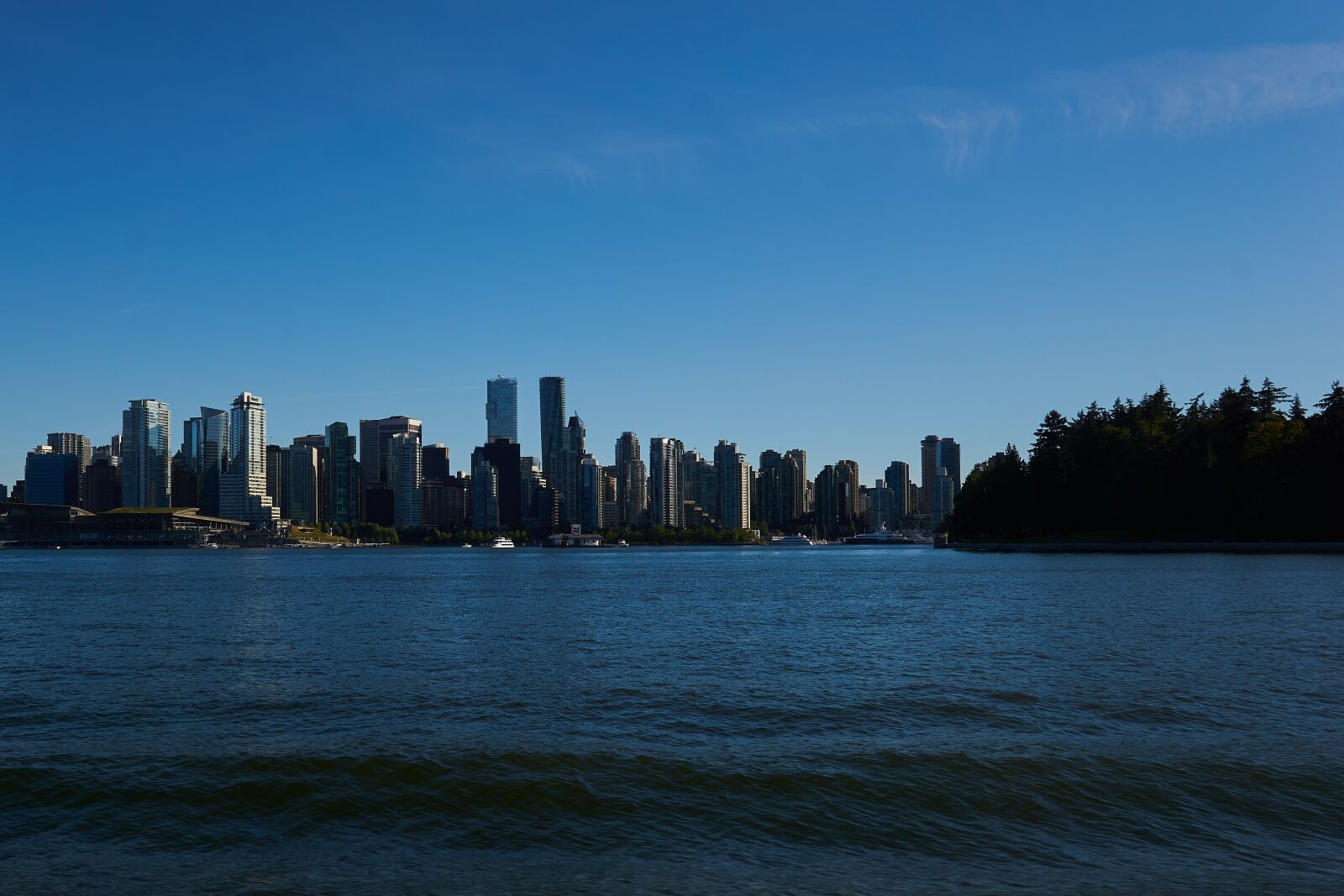 Sony a6000 + Sigma 19mm F2.8 EX DN sample photo. Vancouver, city, canada photography