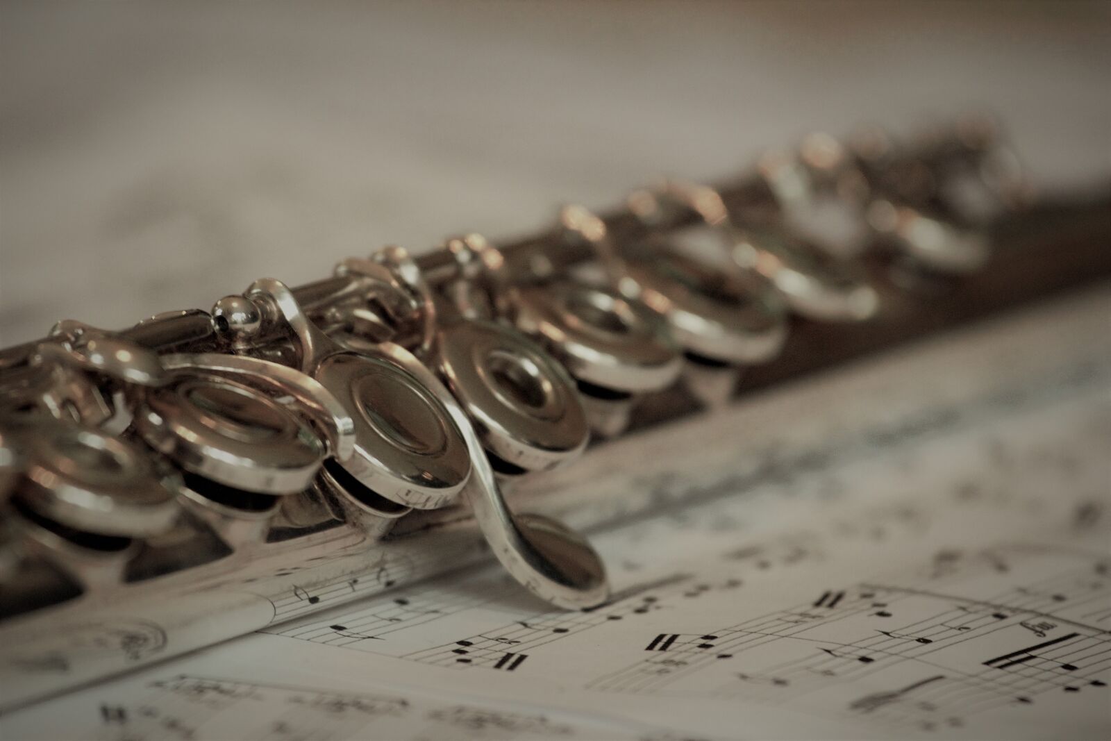 Canon EOS 650D (EOS Rebel T4i / EOS Kiss X6i) sample photo. Music, flute, classic photography