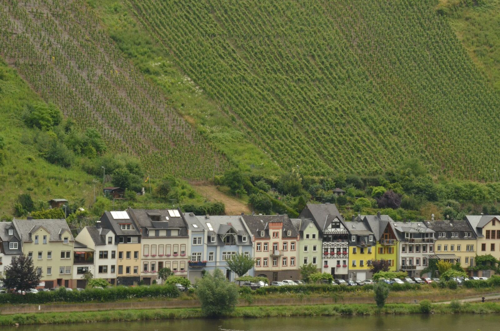 Nikon D7000 sample photo. River, moselle, houses photography