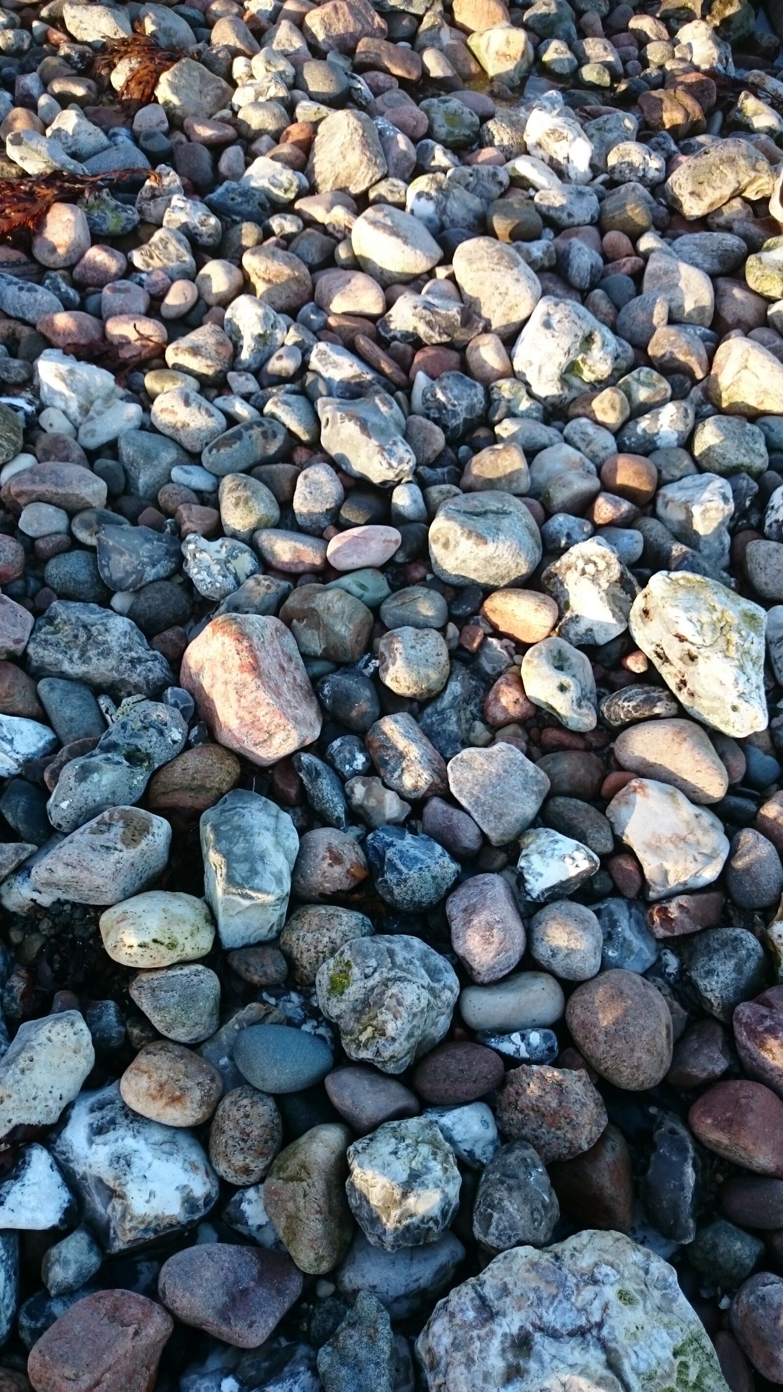 Sony Xperia Z2 sample photo. Stones, baltic sea beach photography