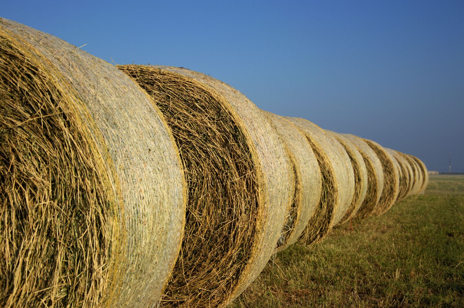 Nikon D3200 sample photo. Hay, field, nature photography