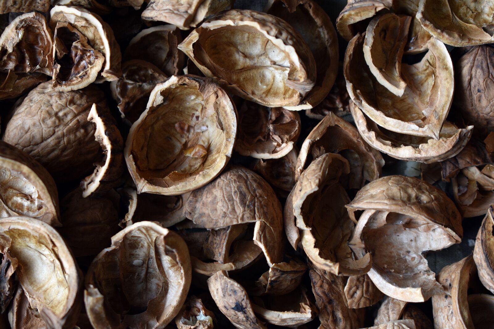 Nikon D3400 sample photo. Nuts, walnut, food photography
